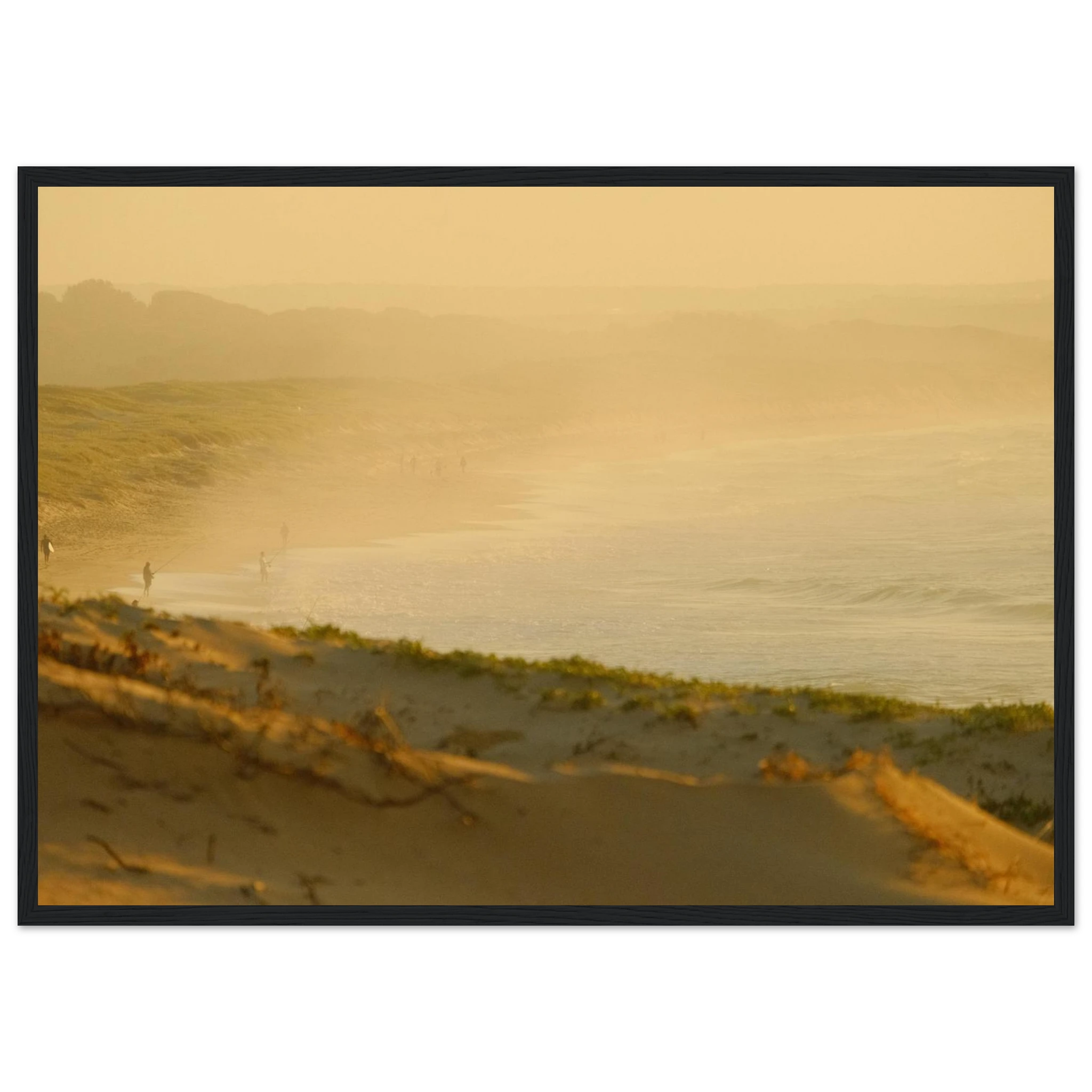 020f06c0-7659-43fc-a04e-541001ab0c30