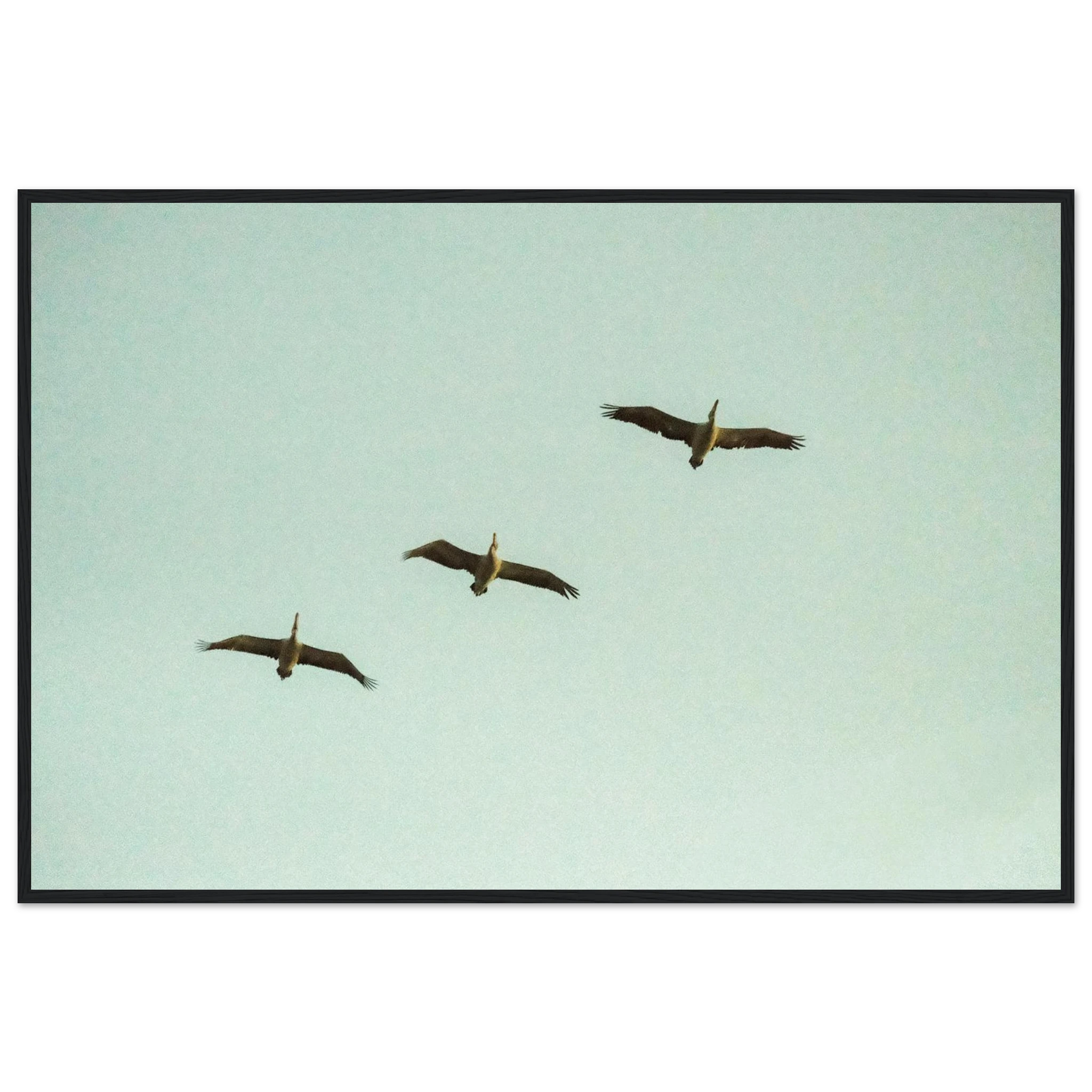05294e03-faba-412b-96c6-0c2b575a02c8