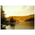 056a94f2-b4f8-47e7-889d-90d9cdf09786