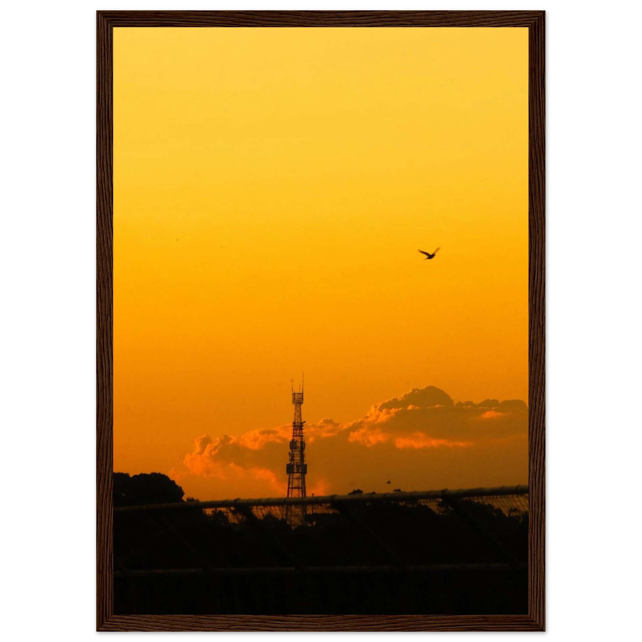 0cc4b501-2071-4e66-afdc-f8fc63cdeb2d