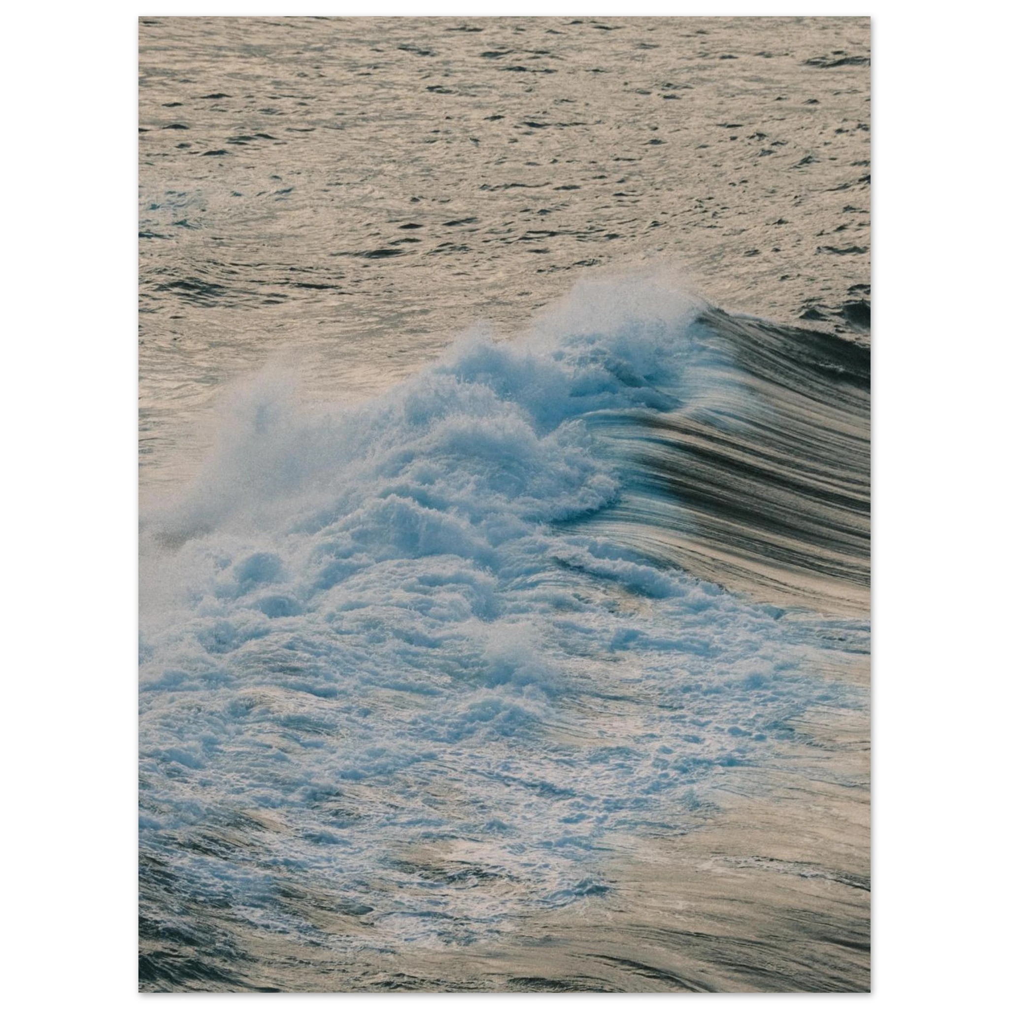 0ed2690d-4517-43f5-b965-937415601348