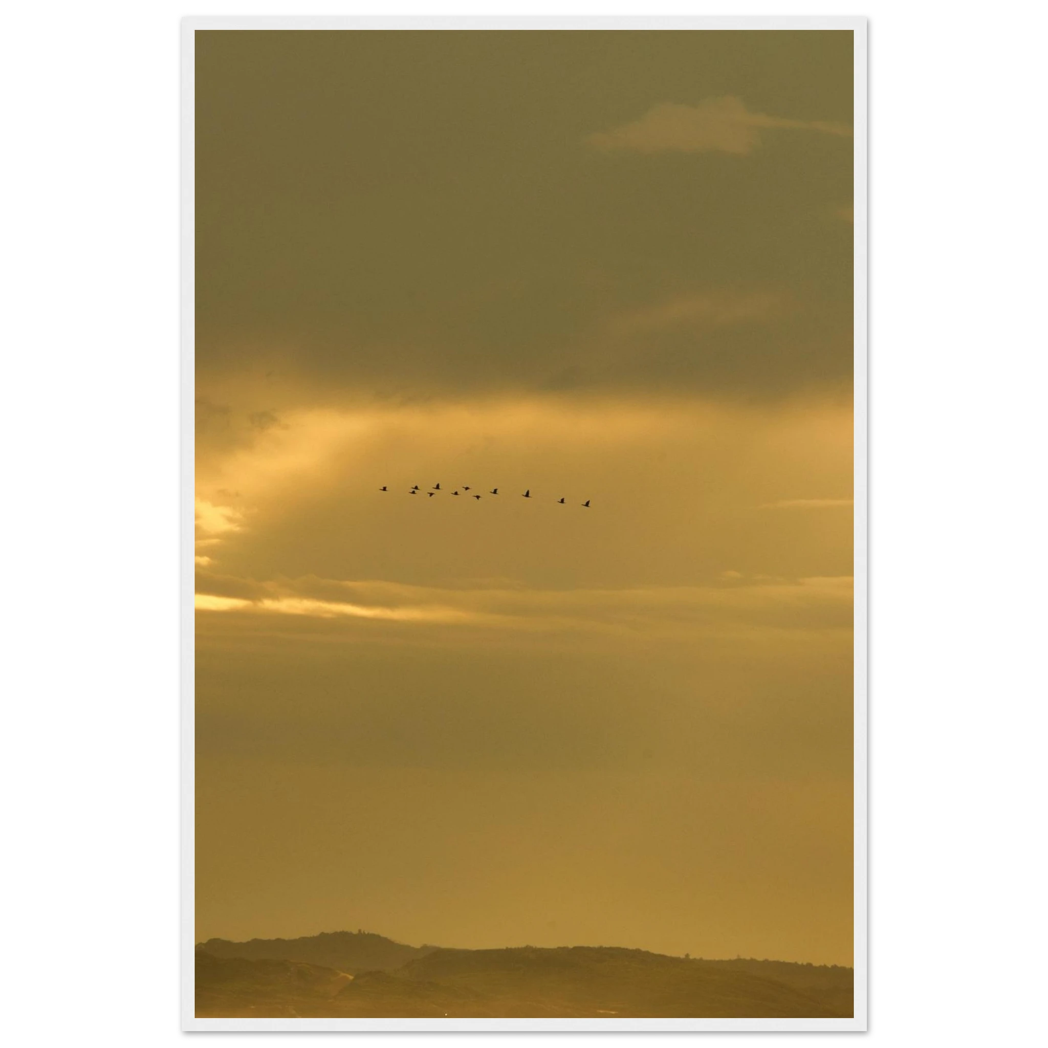 122152ab-2768-47dd-87e6-ed496a5e686e