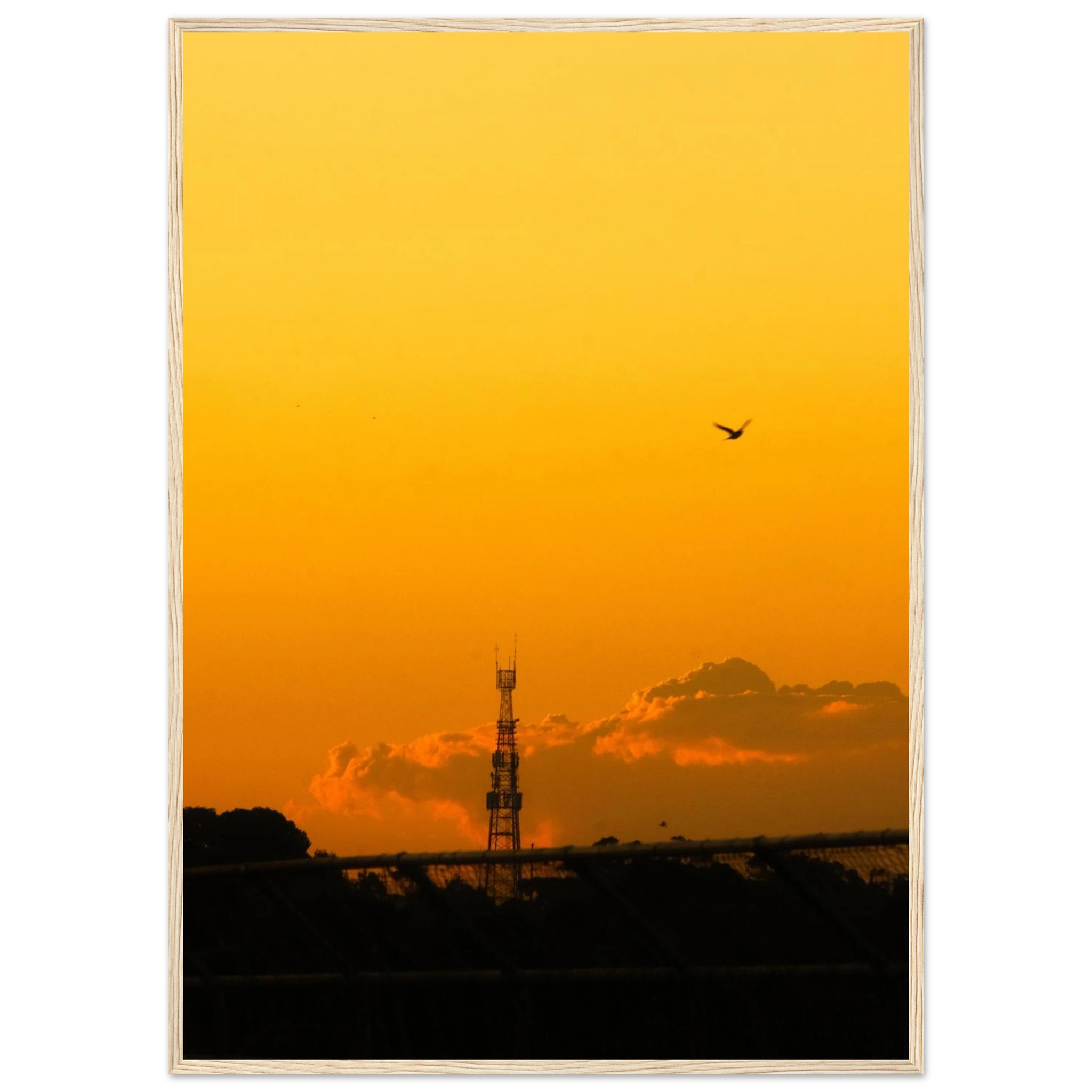 15f197e1-97c2-4644-a248-28e2e0e63eb8