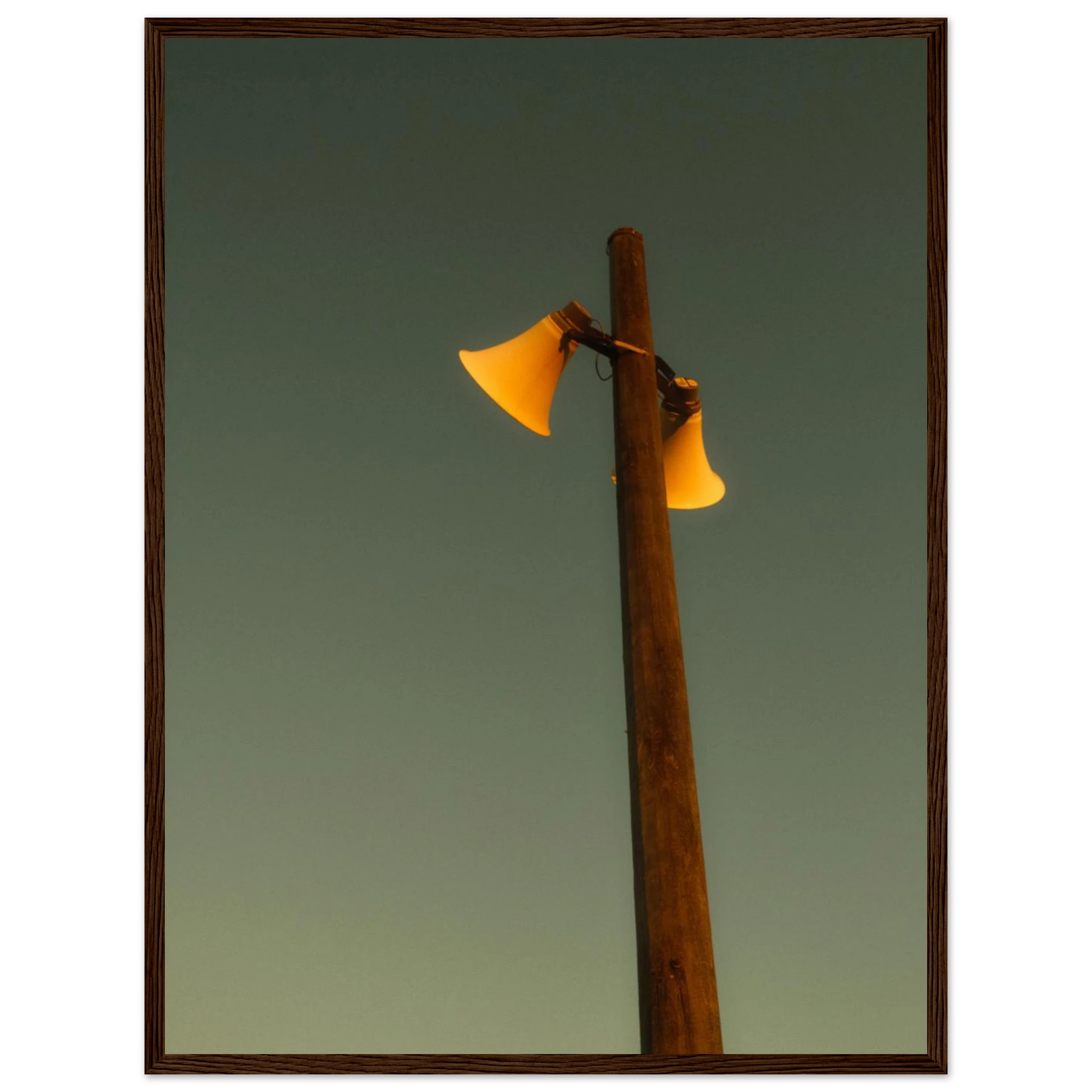 192d0874-a2b9-41f4-ae20-60d325268fa9