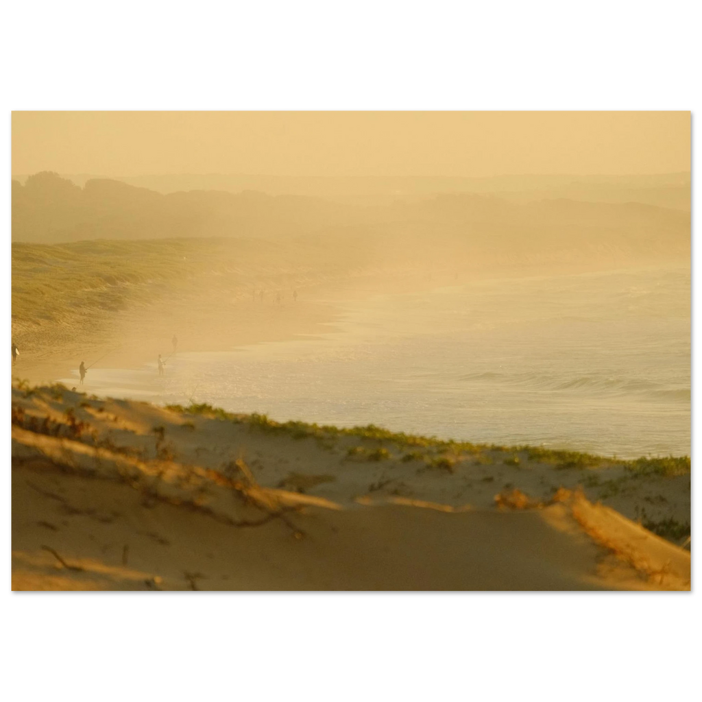 1ac8b1be-03f8-442e-b547-b3a4f19dd2f9