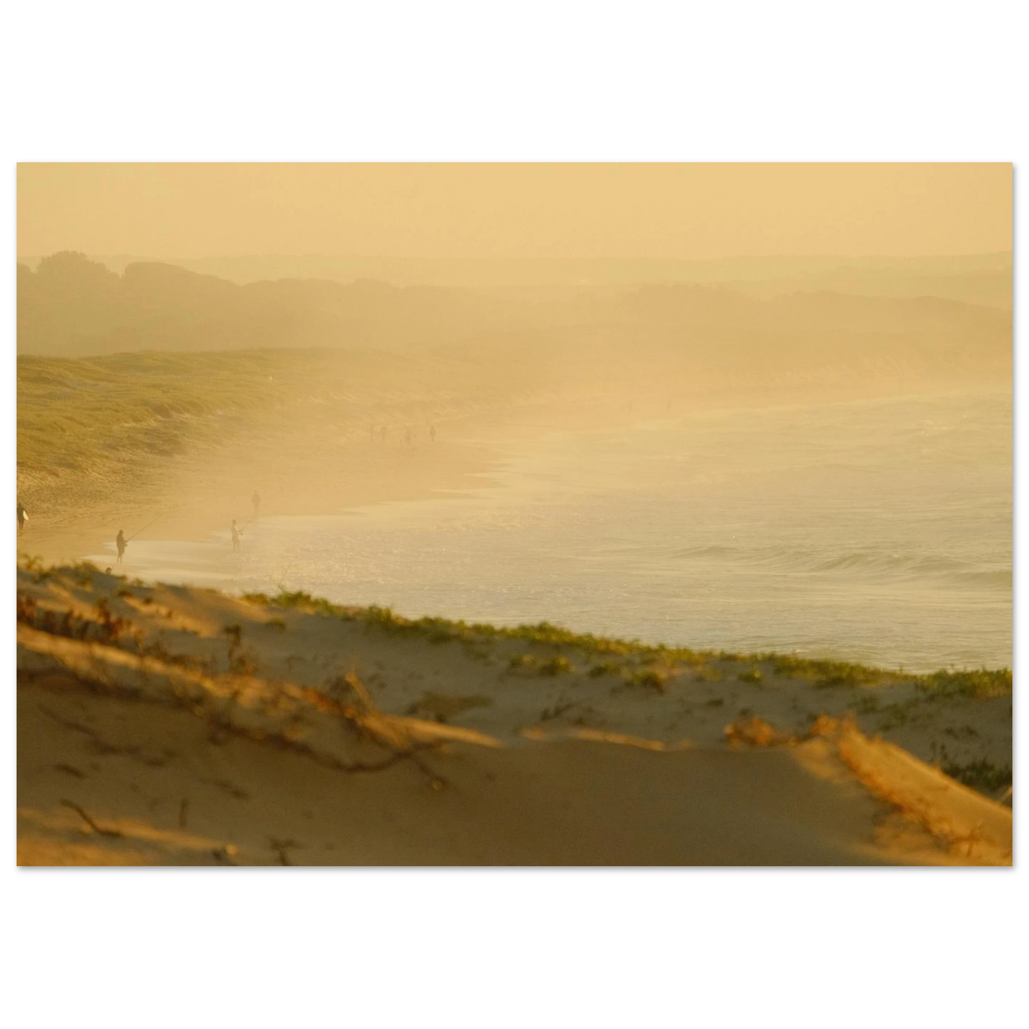1ac8b1be-03f8-442e-b547-b3a4f19dd2f9