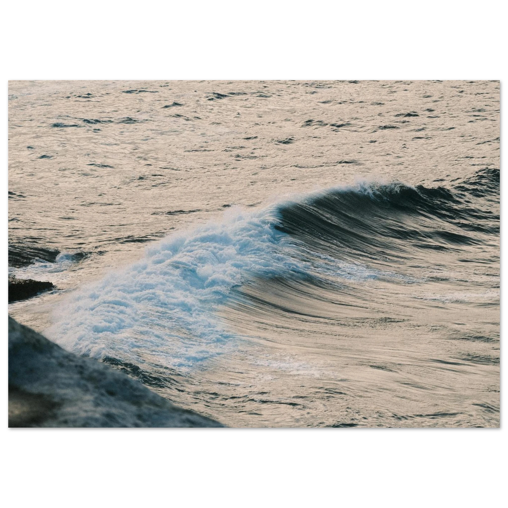 1bb2097d-f907-4b86-a033-0e9c60fffbf9