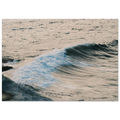 1bb2097d-f907-4b86-a033-0e9c60fffbf9