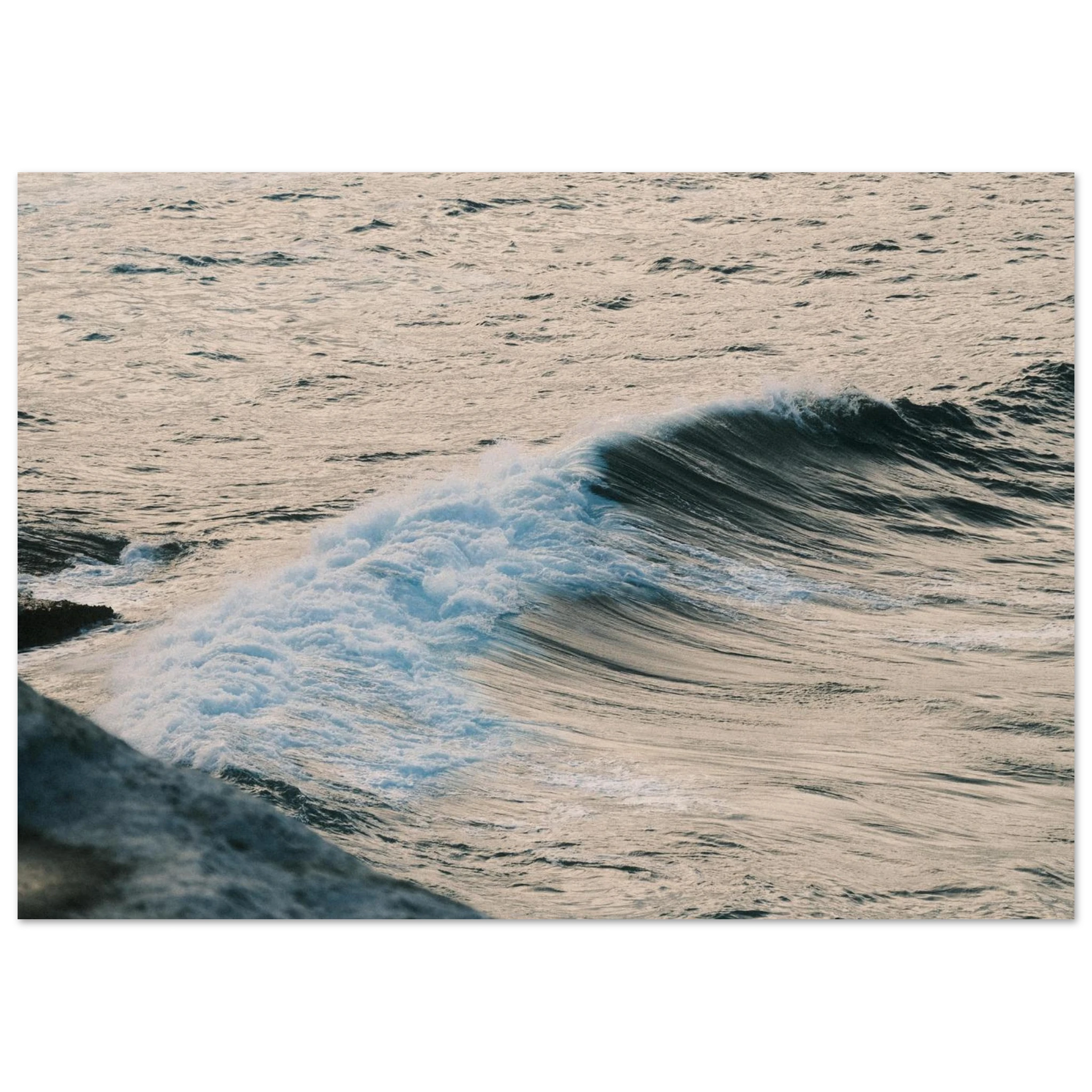 1bb2097d-f907-4b86-a033-0e9c60fffbf9