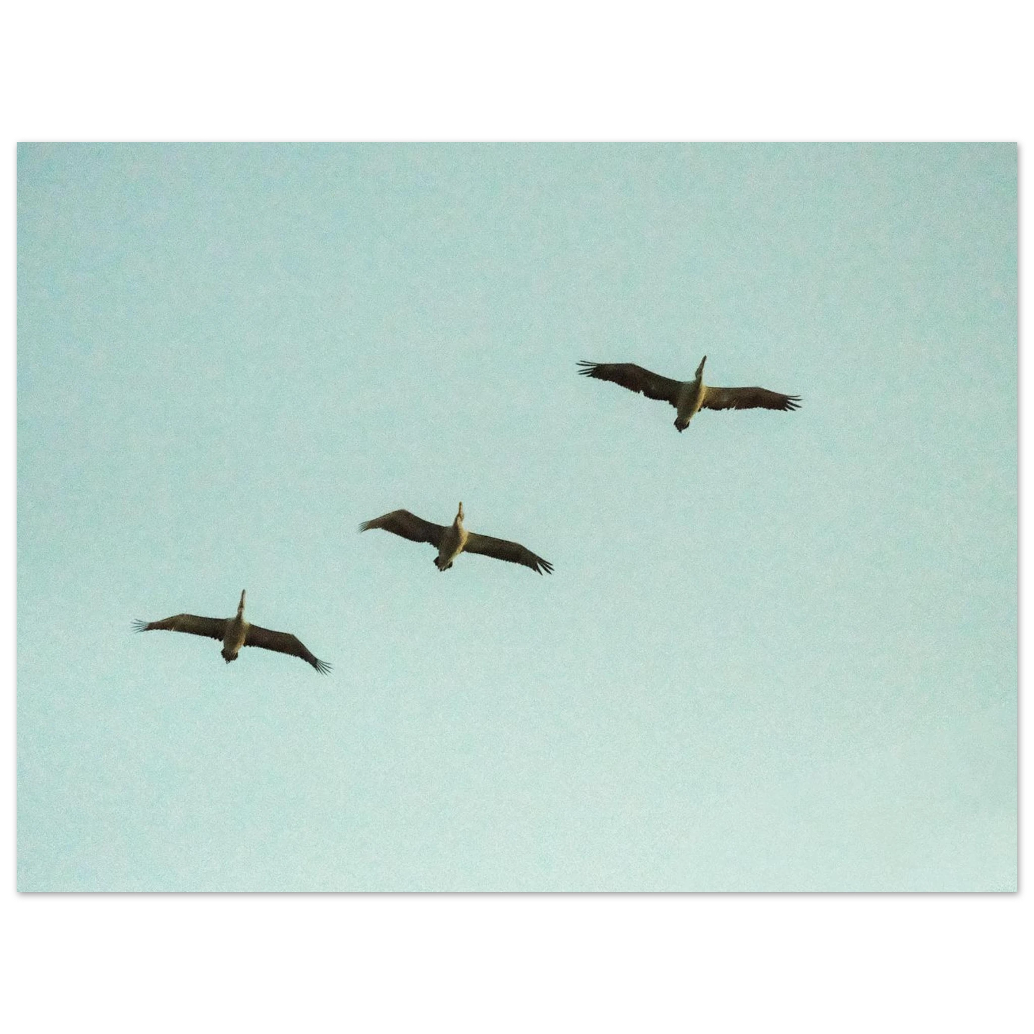 1d4d95a0-3507-482c-8cb4-18e1744c98bb
