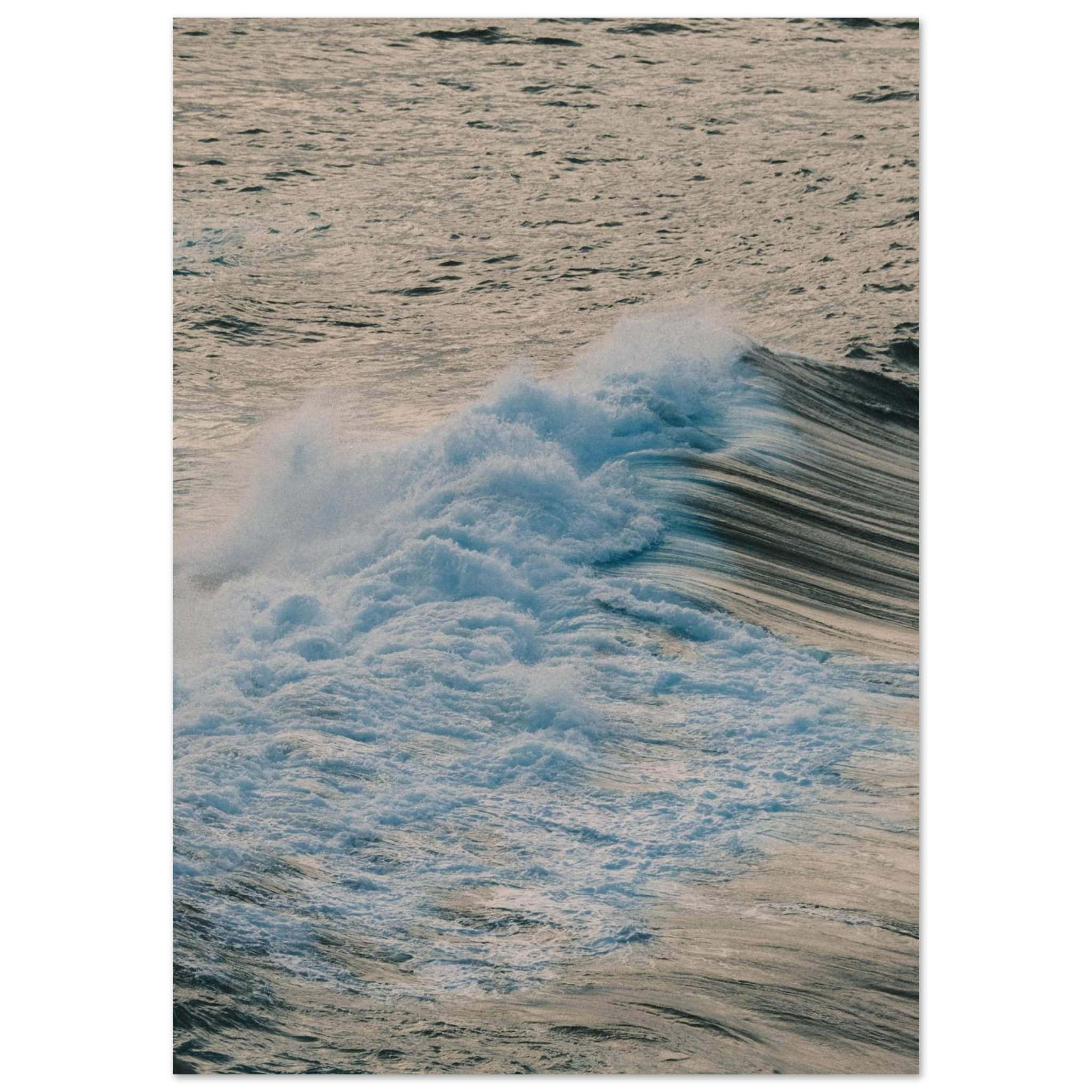 1f9ab324-604f-46be-bd47-8be43e32bf22