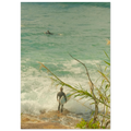 219c348a-c3bd-4271-b6a9-eef8a2a50ead