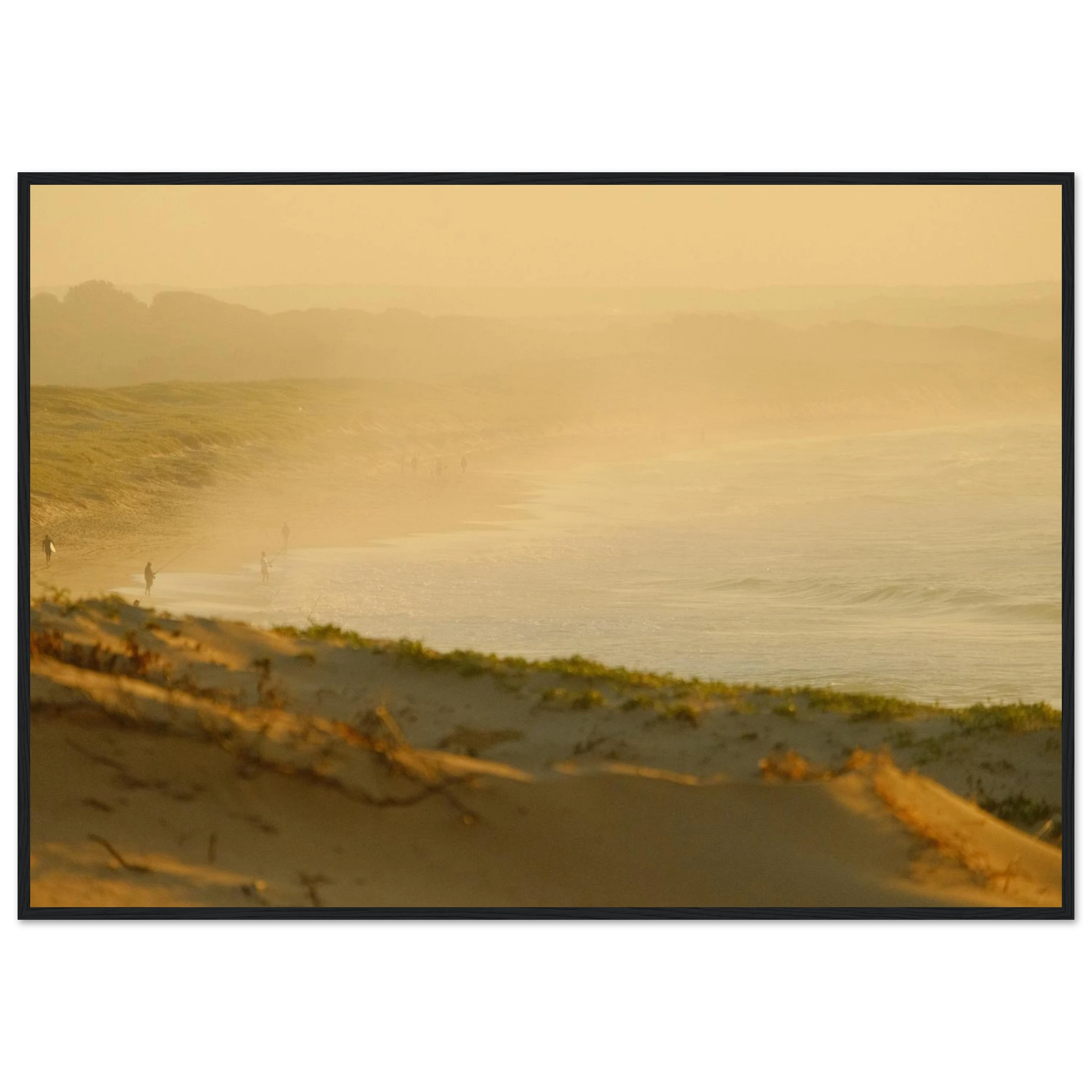28e52f17-a07b-4074-9bc6-f905e4ddfc78