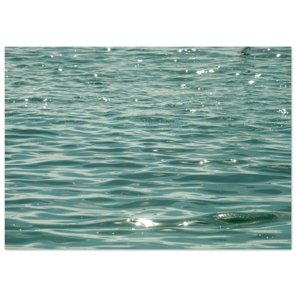 29c2f9ce-376e-44ed-9816-0259b4ffdd6a