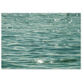 29c2f9ce-376e-44ed-9816-0259b4ffdd6a