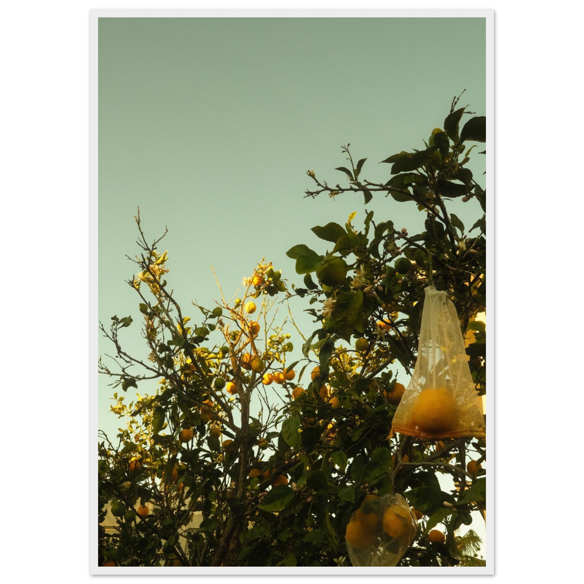 2f4e0962-cbbb-4751-bf8a-df9259627de5