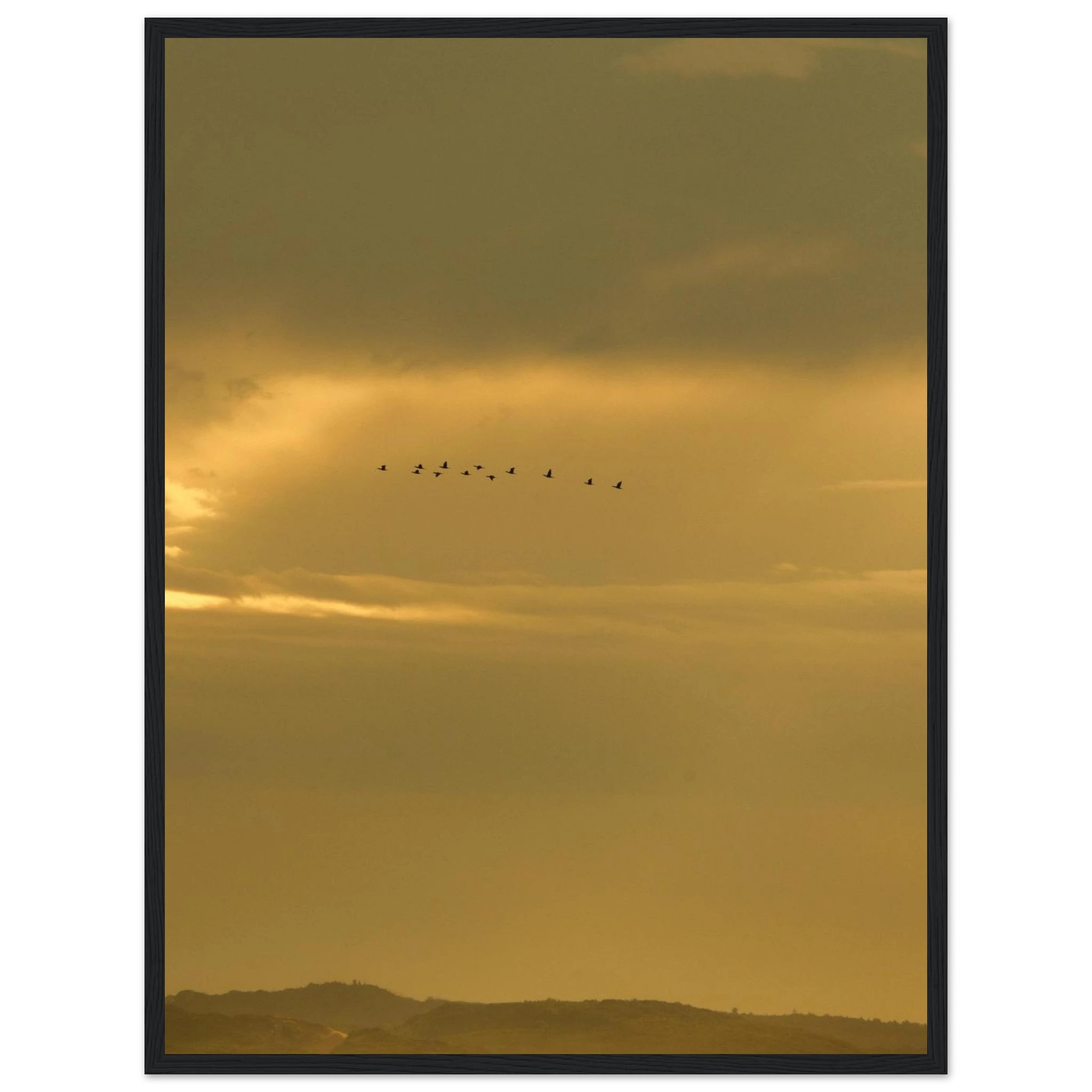 32062ea5-72d1-4872-a93f-63ae9ef567bc