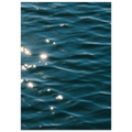 3308e643-c020-4dea-8cc7-f9c1612407ca