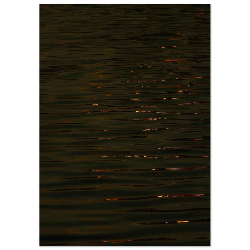 362f12a1-f931-42ee-ad98-b5d5fe7d92a0
