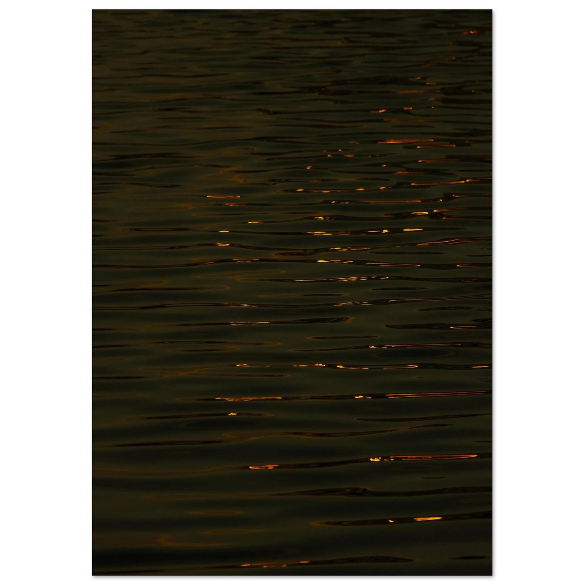 362f12a1-f931-42ee-ad98-b5d5fe7d92a0