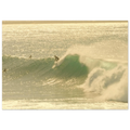 374fdbc2-bb6d-4994-b08b-80a794b09f12