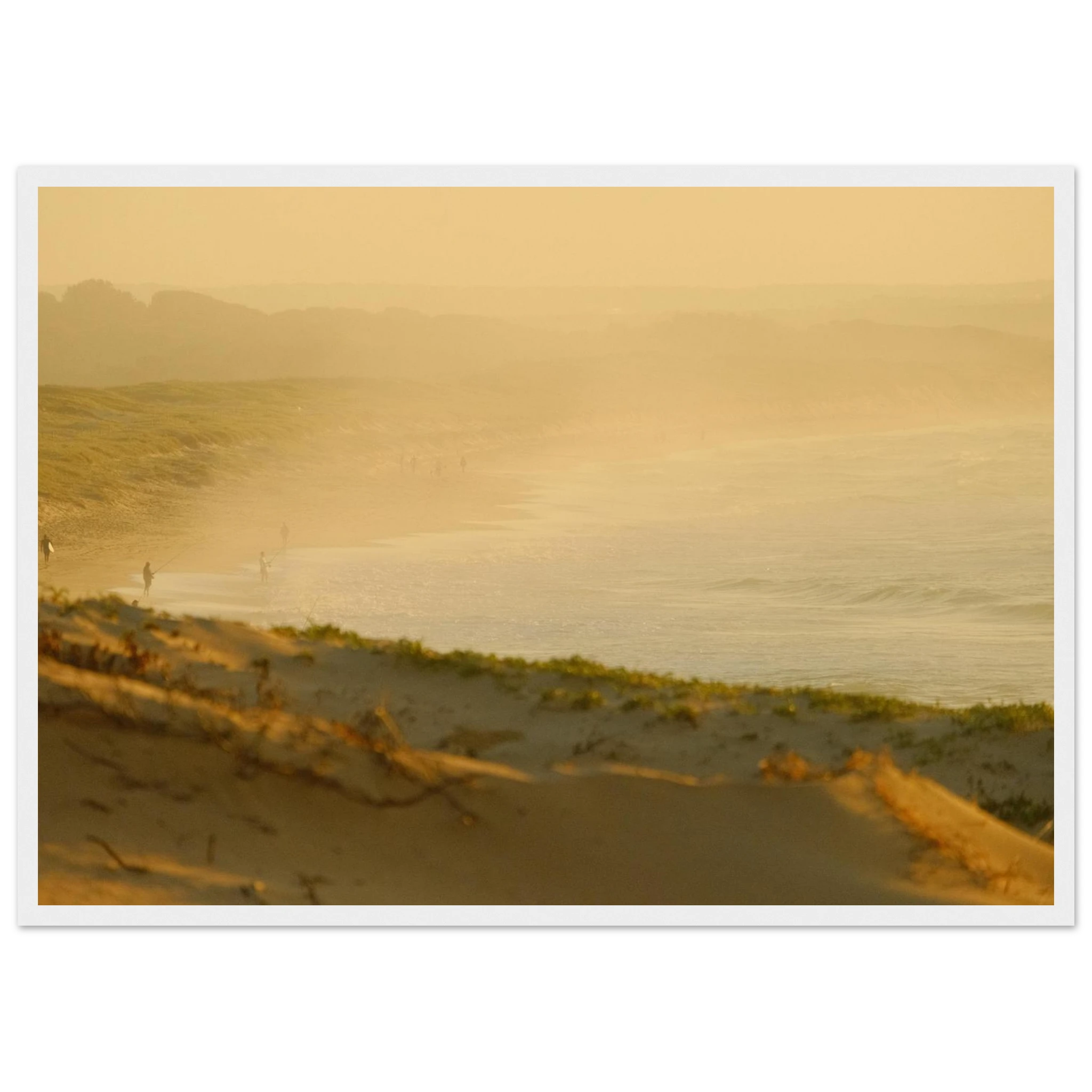 398c3865-db9d-466e-ba5b-c1cae7db0a00