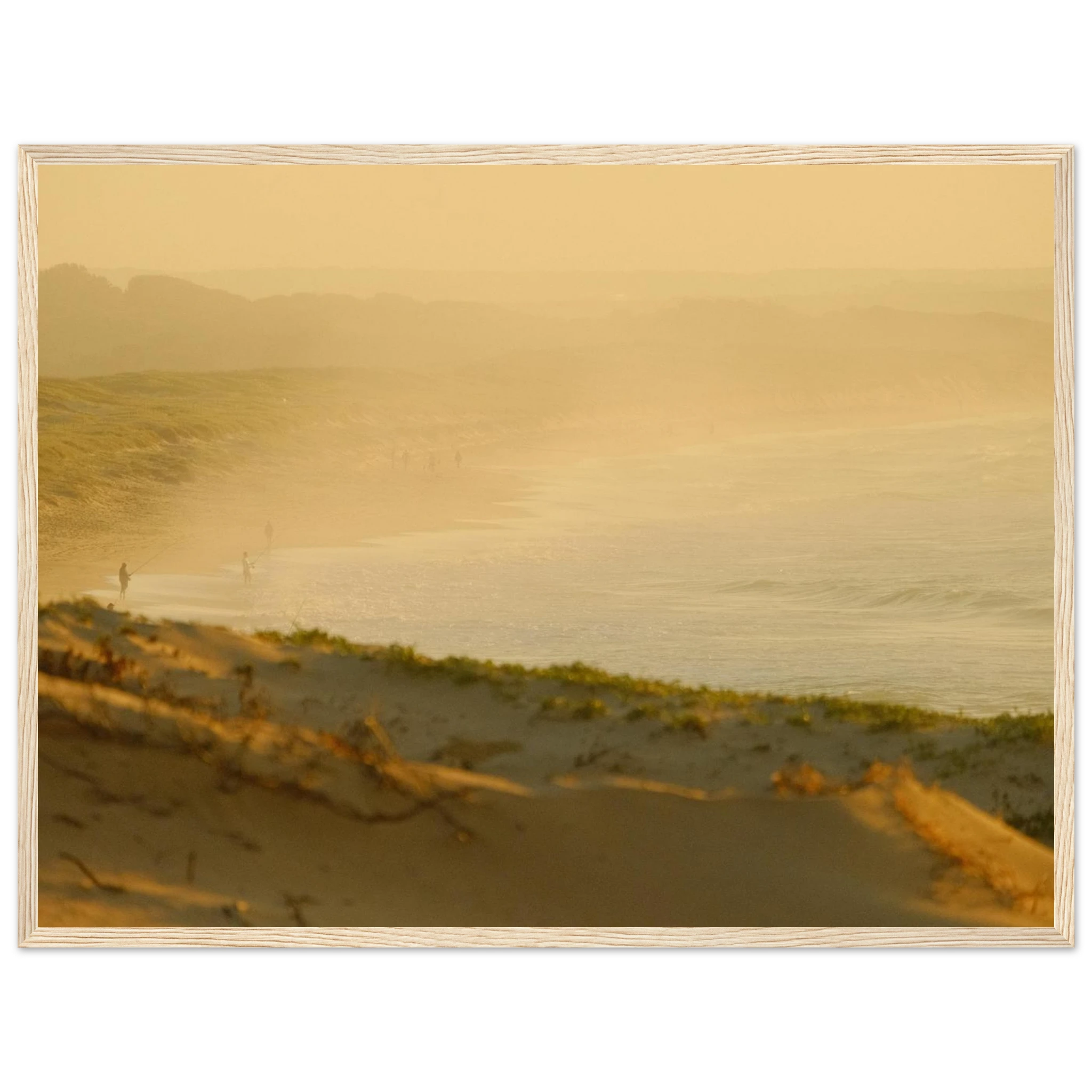 3bfe94ff-0475-46d1-a327-2d60ed05d2d1