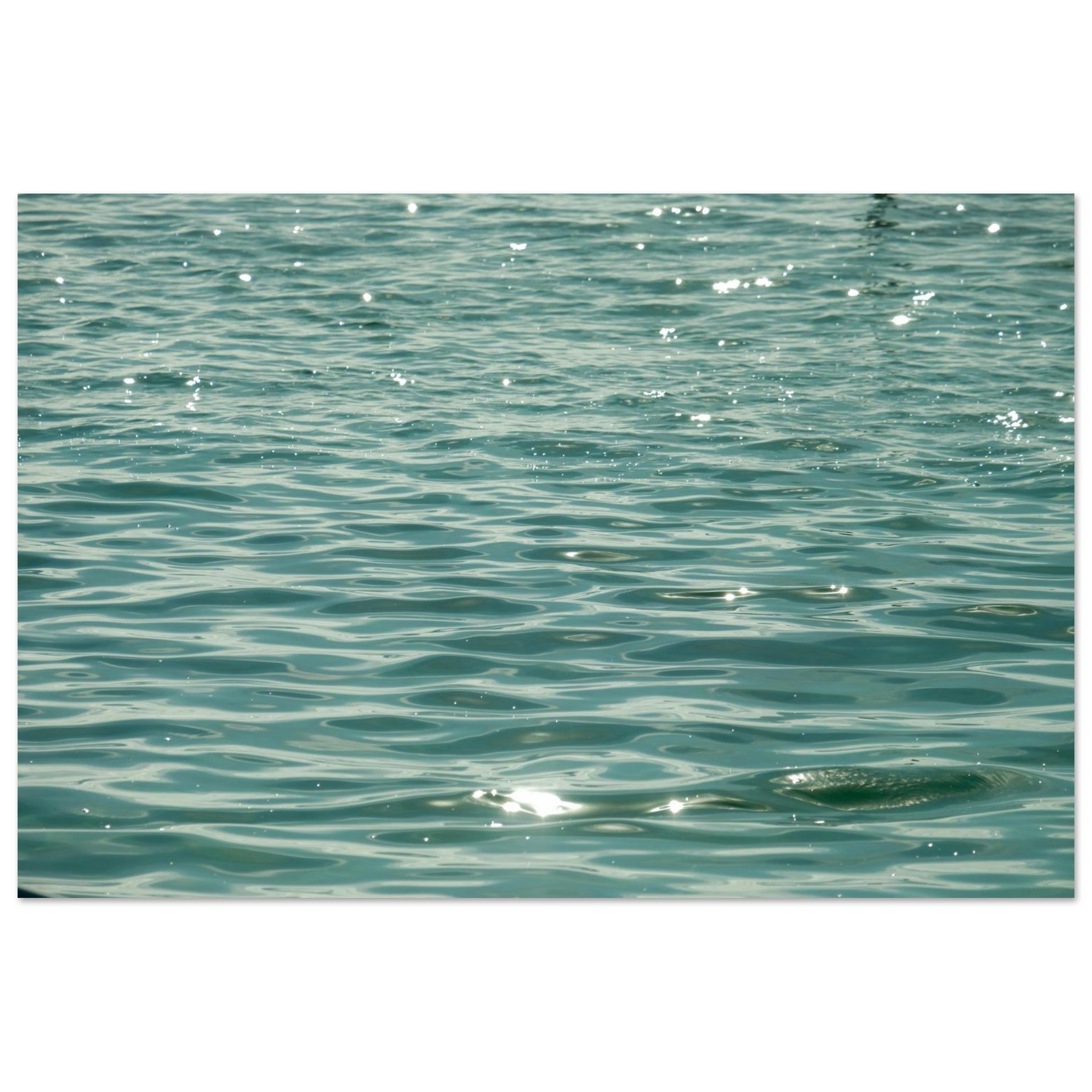 3c0c7091-b993-4eb4-bfc3-8eda4de29069