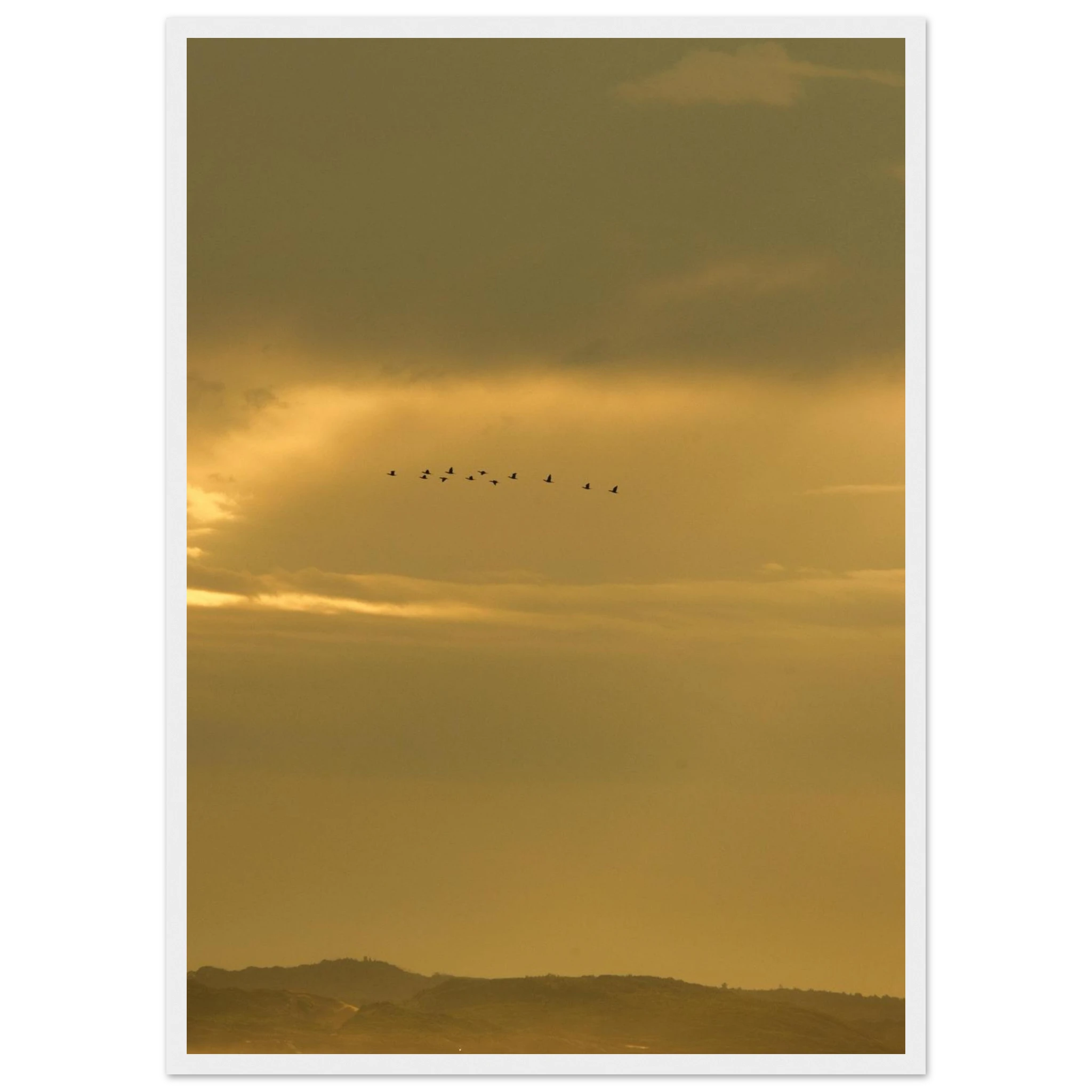 3c40696a-dc5c-4d01-b8b6-1dbc62590326