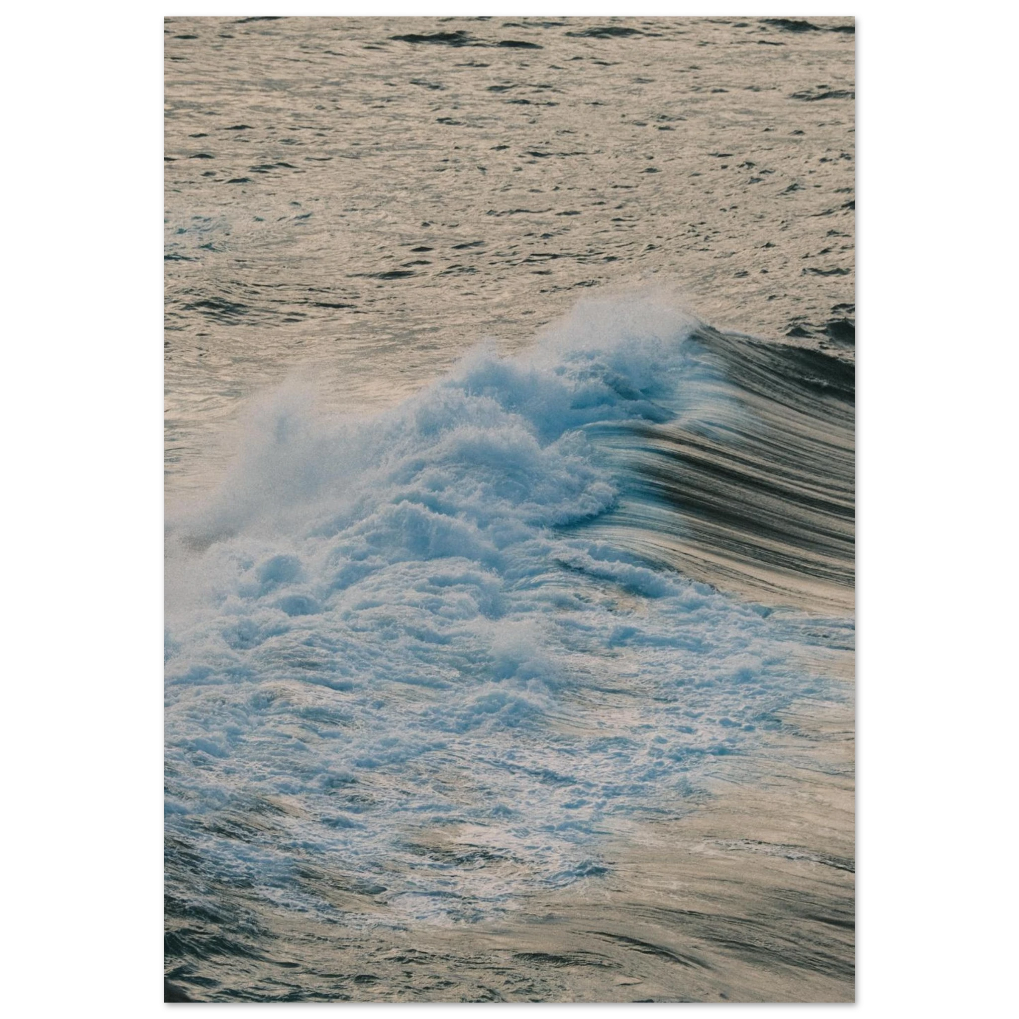 3ccb9d6d-fdd7-4a62-9a24-c0be2f2d441a