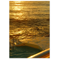3fdf941d-d282-4d04-a28f-b62b03cd5edb