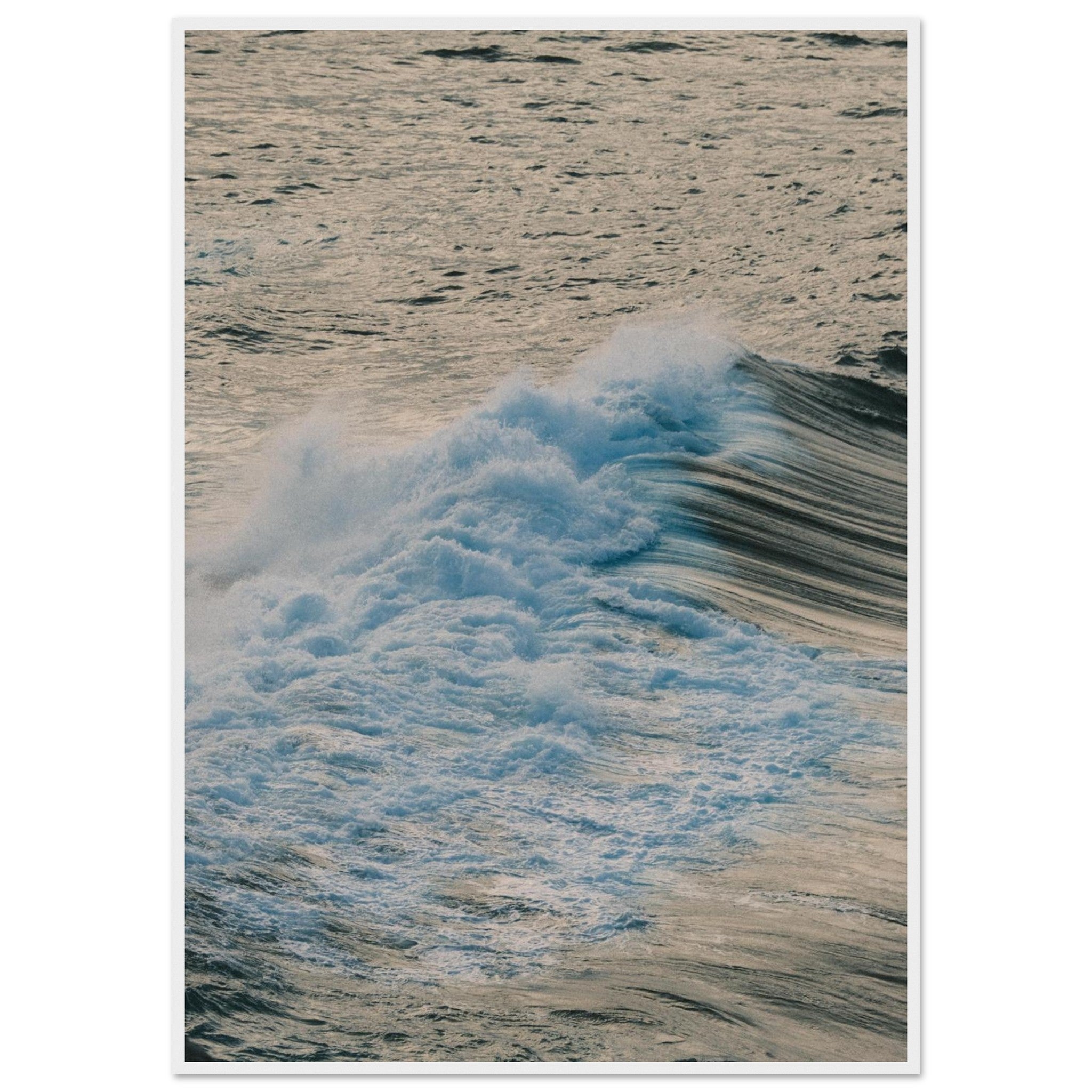 4a2e8f9e-d4dc-449e-a2ca-53b56dfe4f88