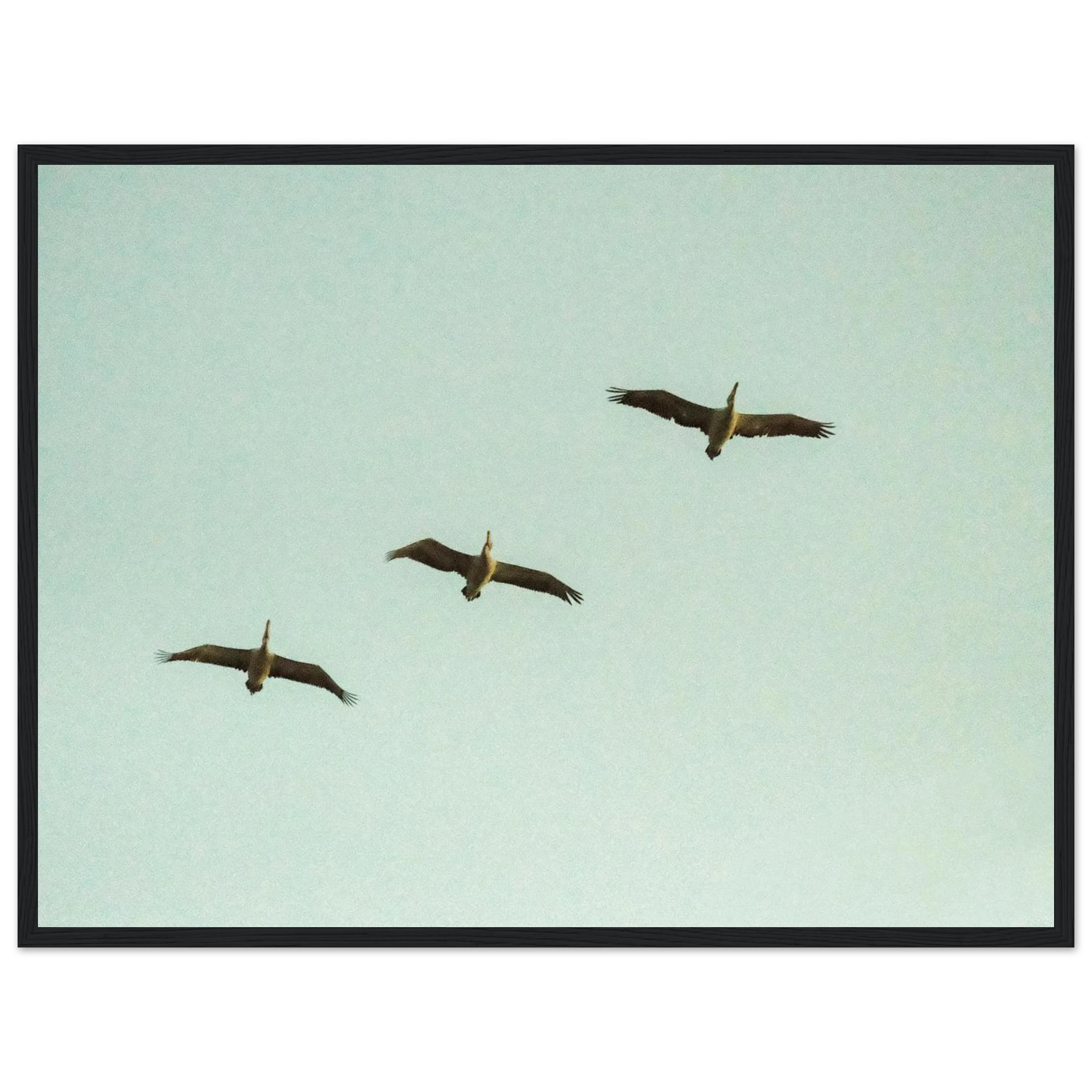 5081274c-9efb-4928-af02-83873e680bb4