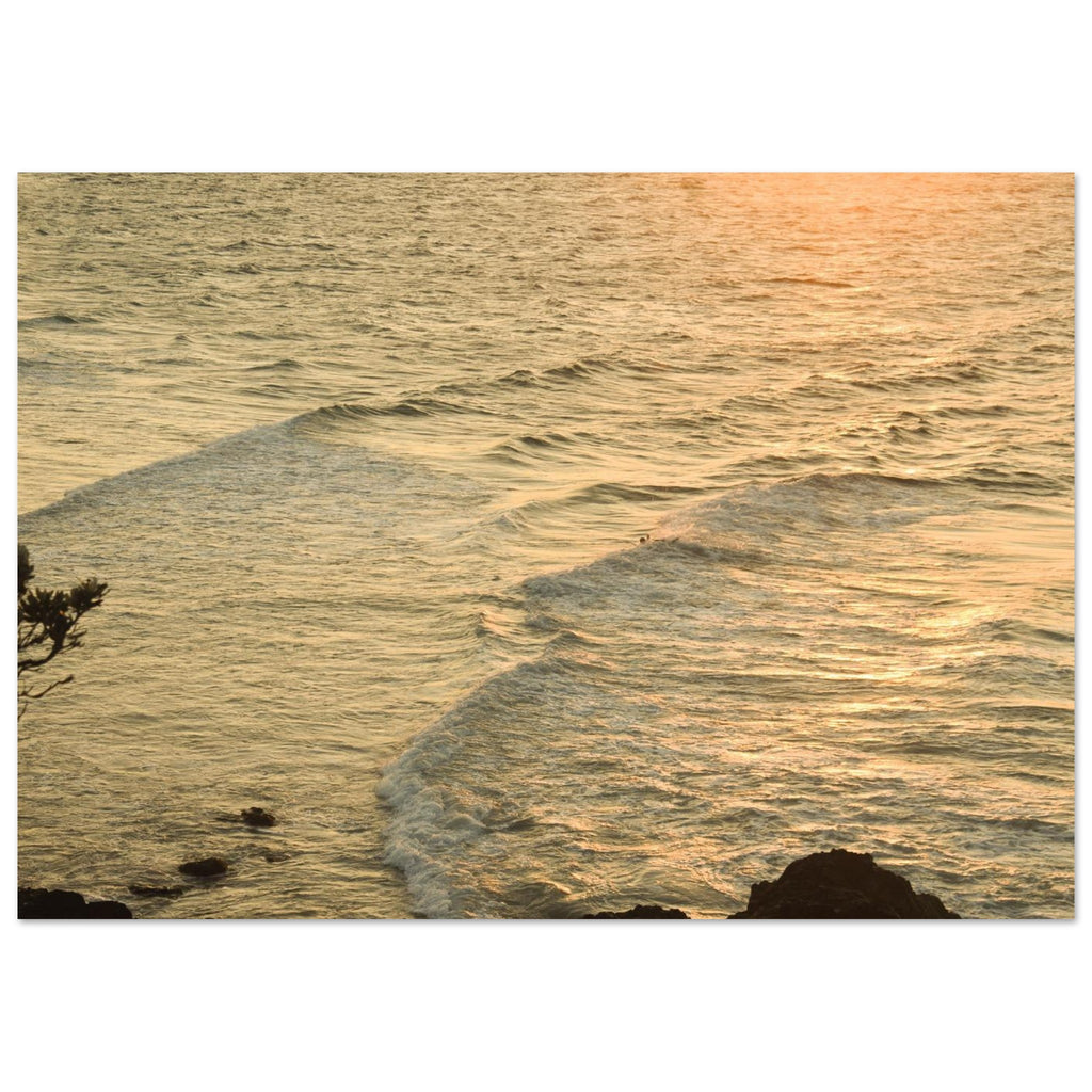53e8106d-3102-4511-bf85-812c617c3e38