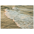 5599dd5a-e293-440a-aea3-d331feead7b9
