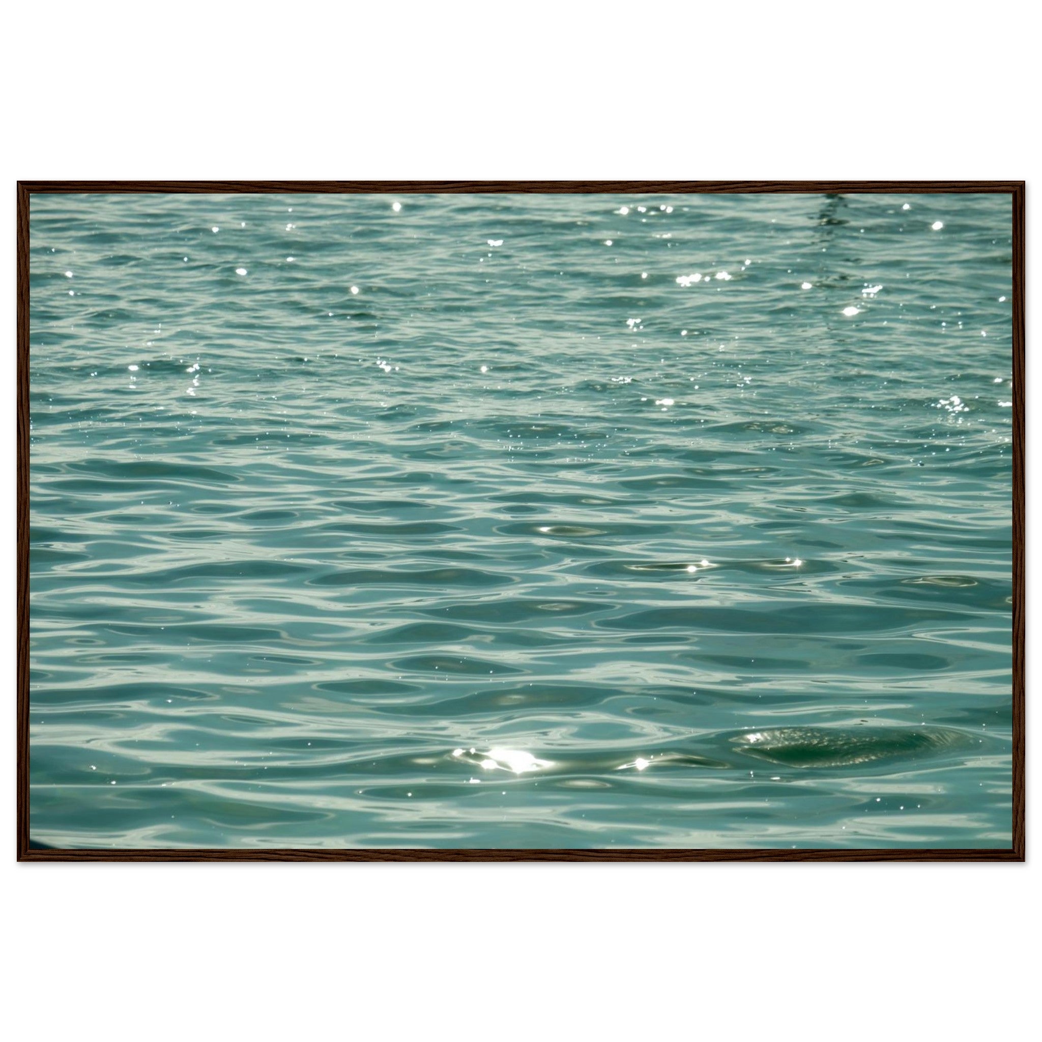 5d7572af-7310-4c00-81a9-ab95e7740849