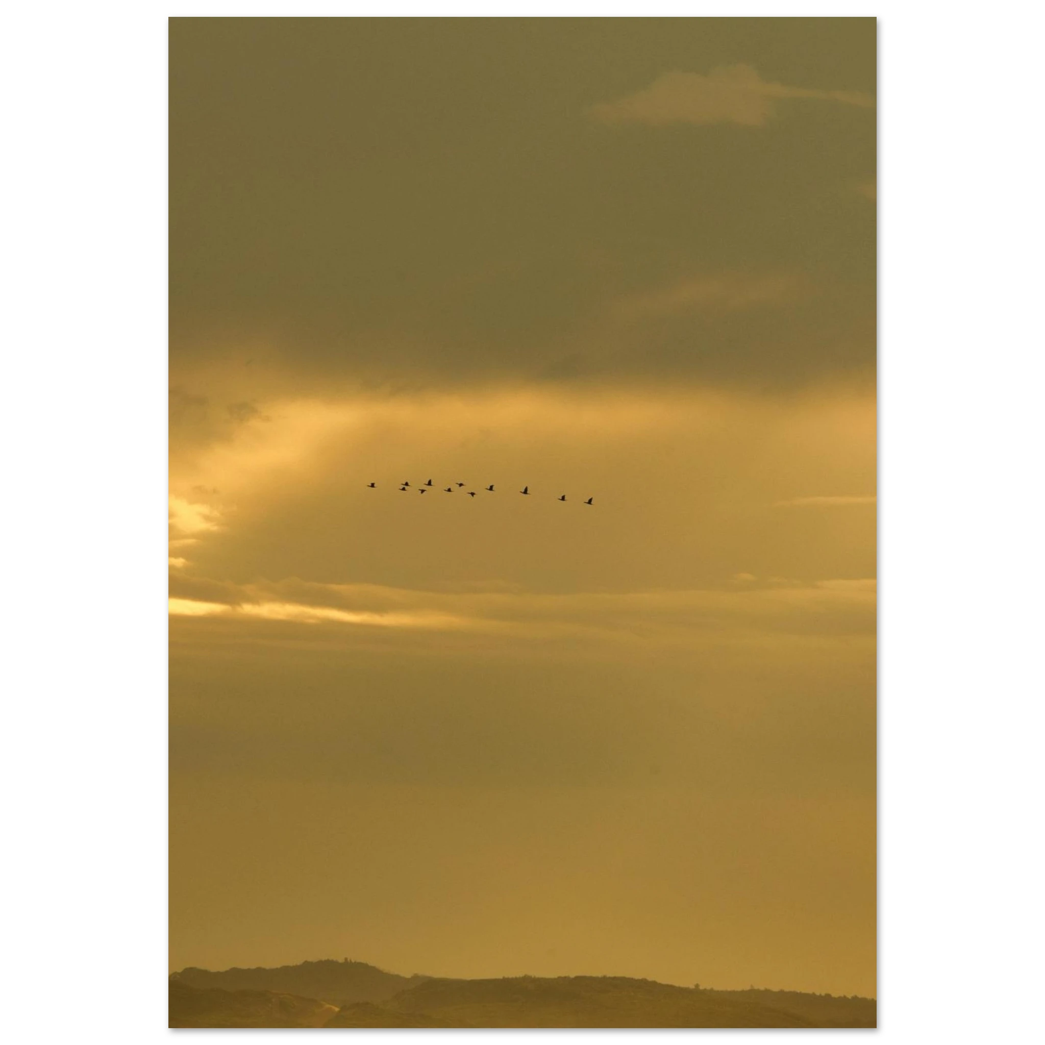 5e73343d-c55e-470a-b4ff-fd14c396c57d