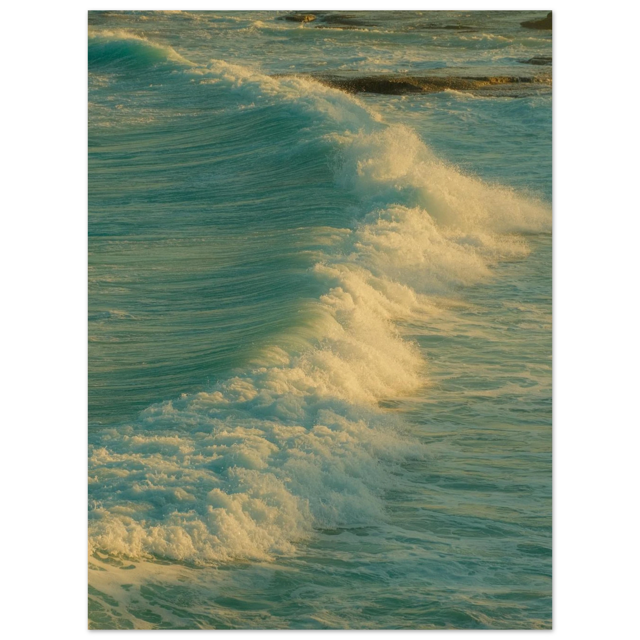668b1a65-c775-4d69-b7b6-e389c80b8a97