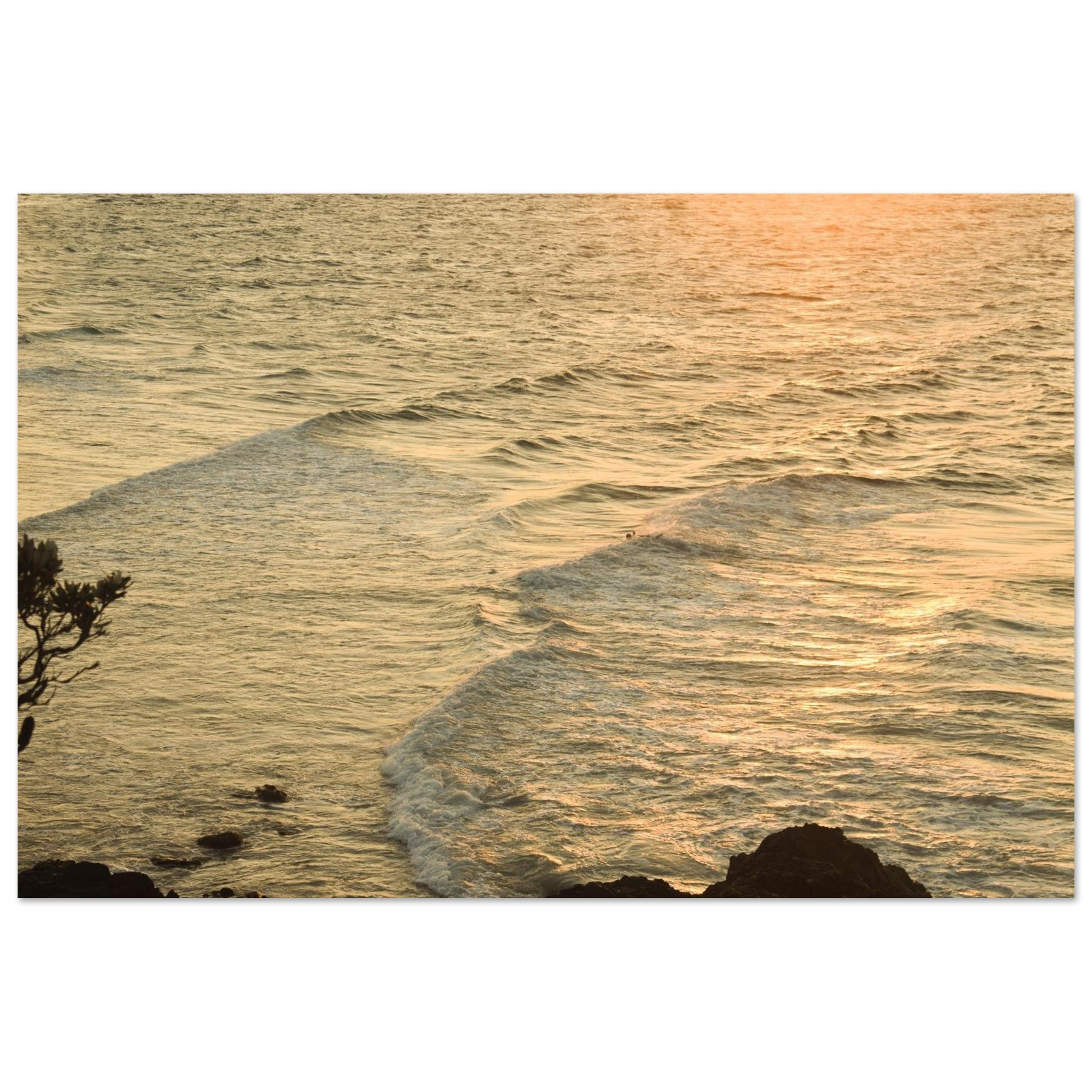 67ad0e20-e8f9-4b97-9dde-2ebb540cd839