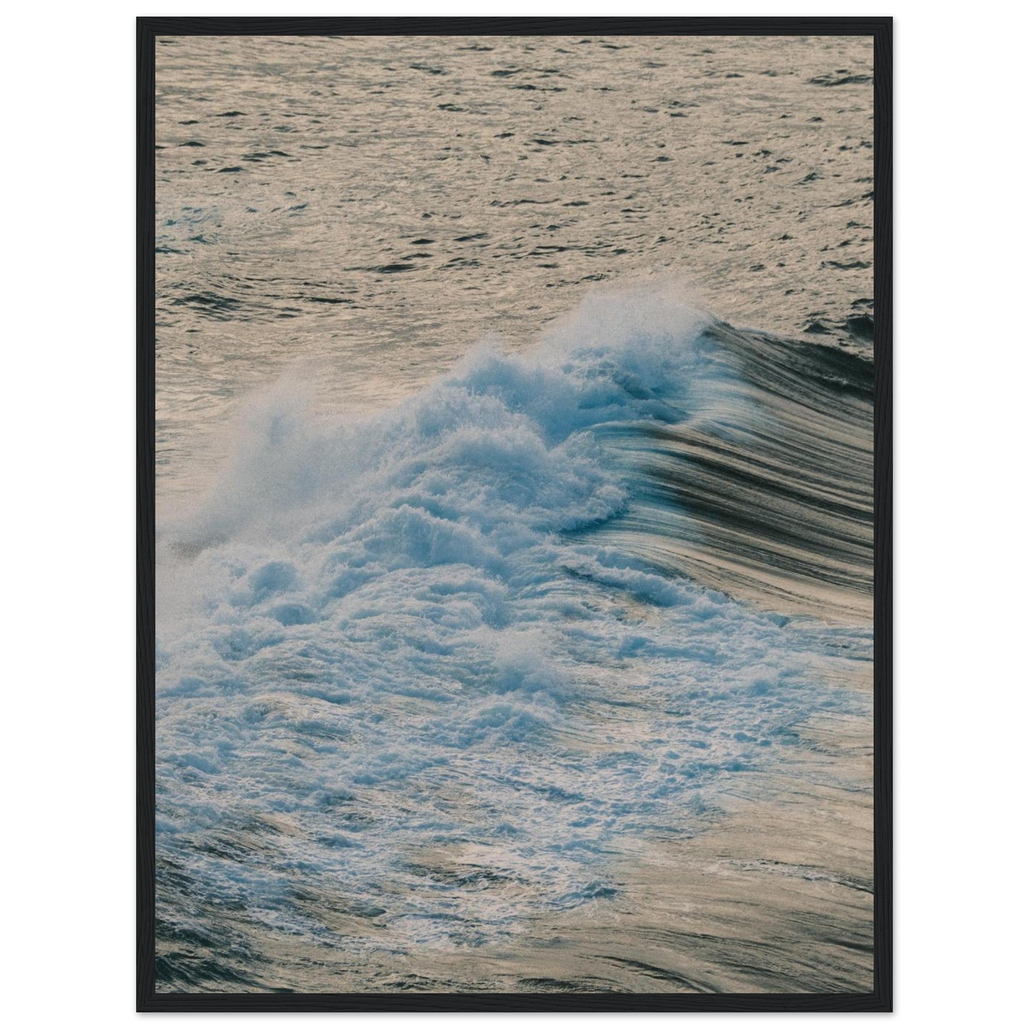 6ca88890-fc60-4b46-8375-44bba4bc9b0b