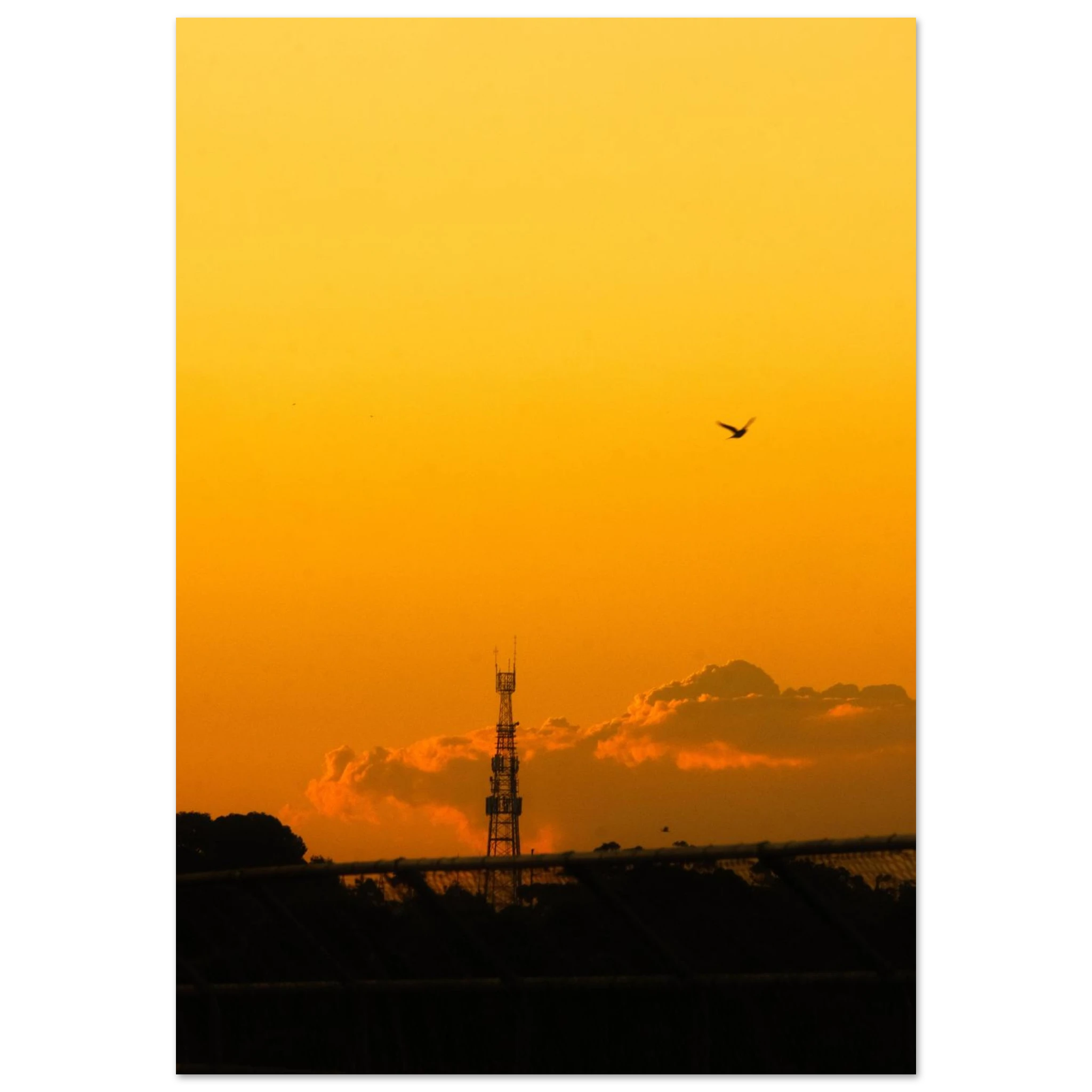 6d883118-02da-4a20-b815-9e5e6cb160ee