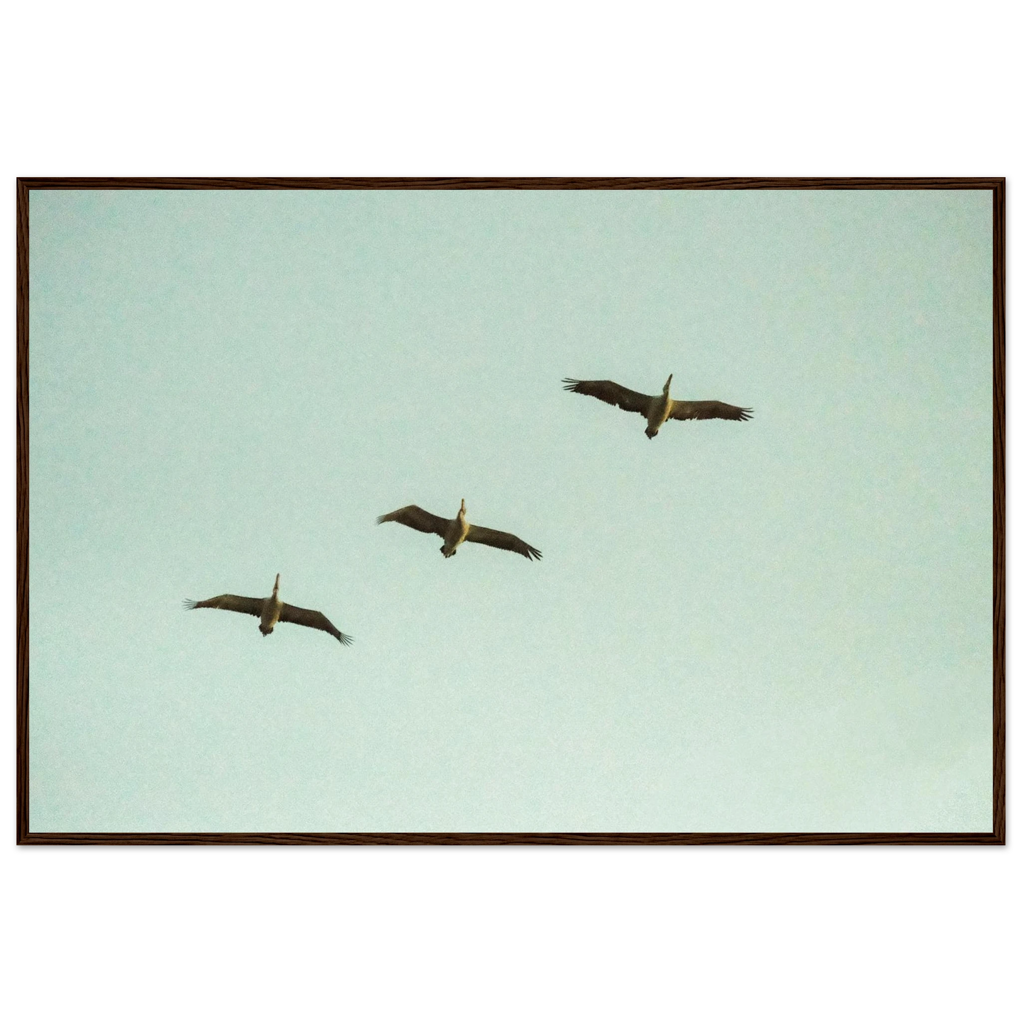 72de040f-dd0d-41ac-af35-7c883c95b507