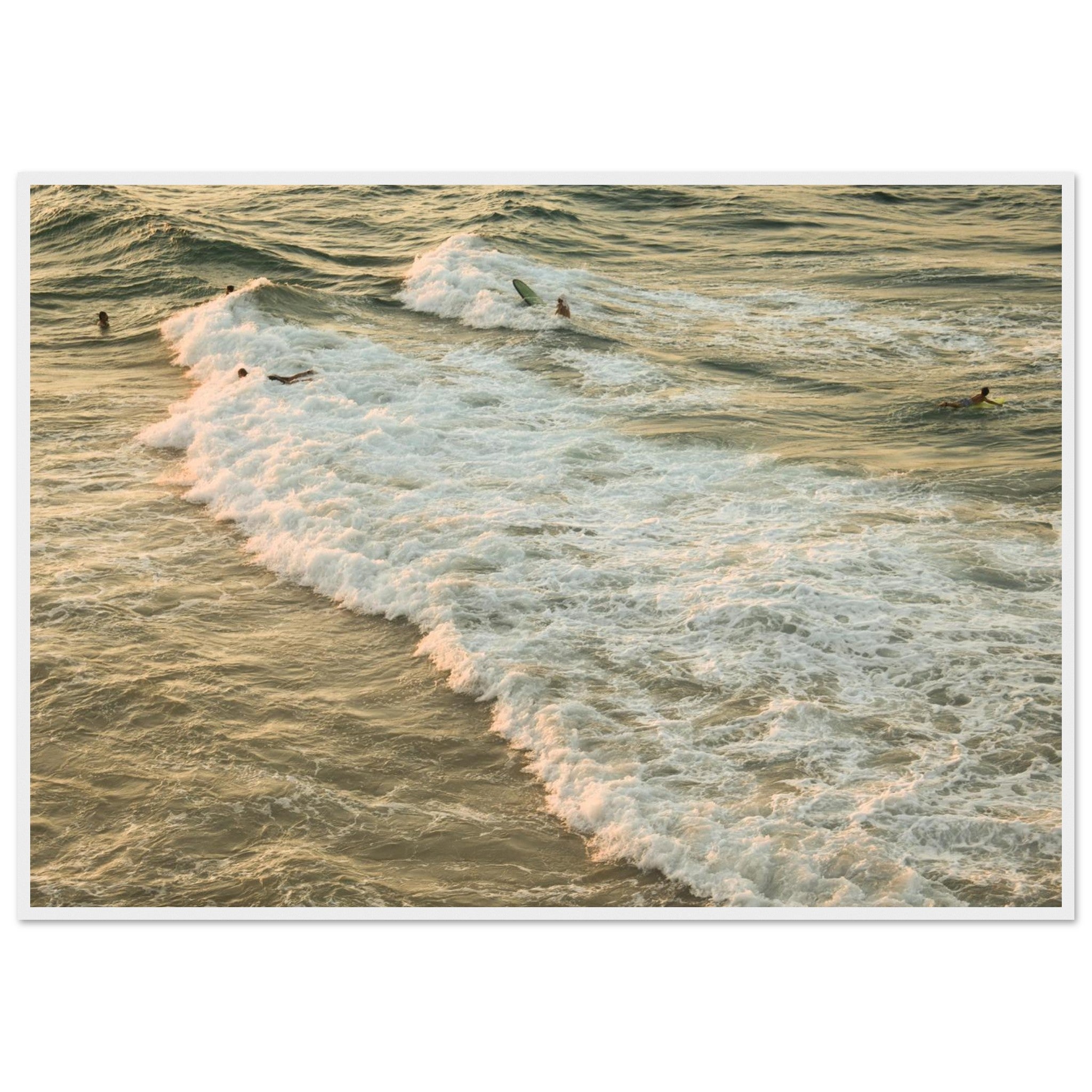 79fd3517-6a41-477c-9ef0-601113f00738