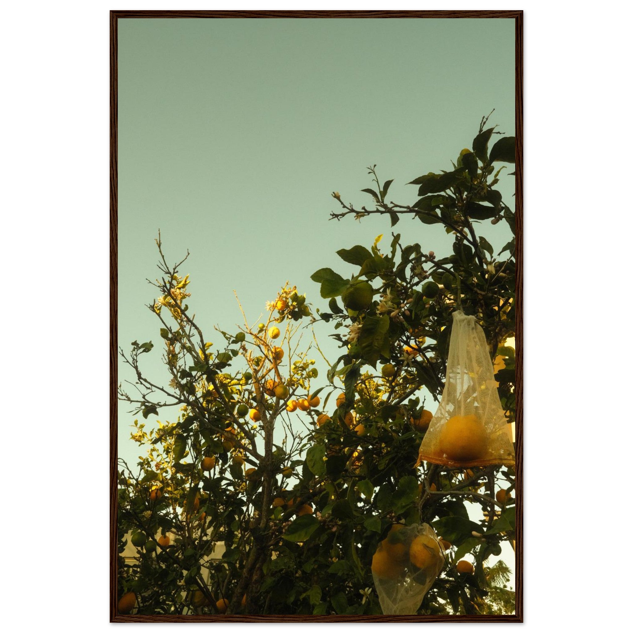 8567bfef-2ccb-44c7-929a-280560345fc0
