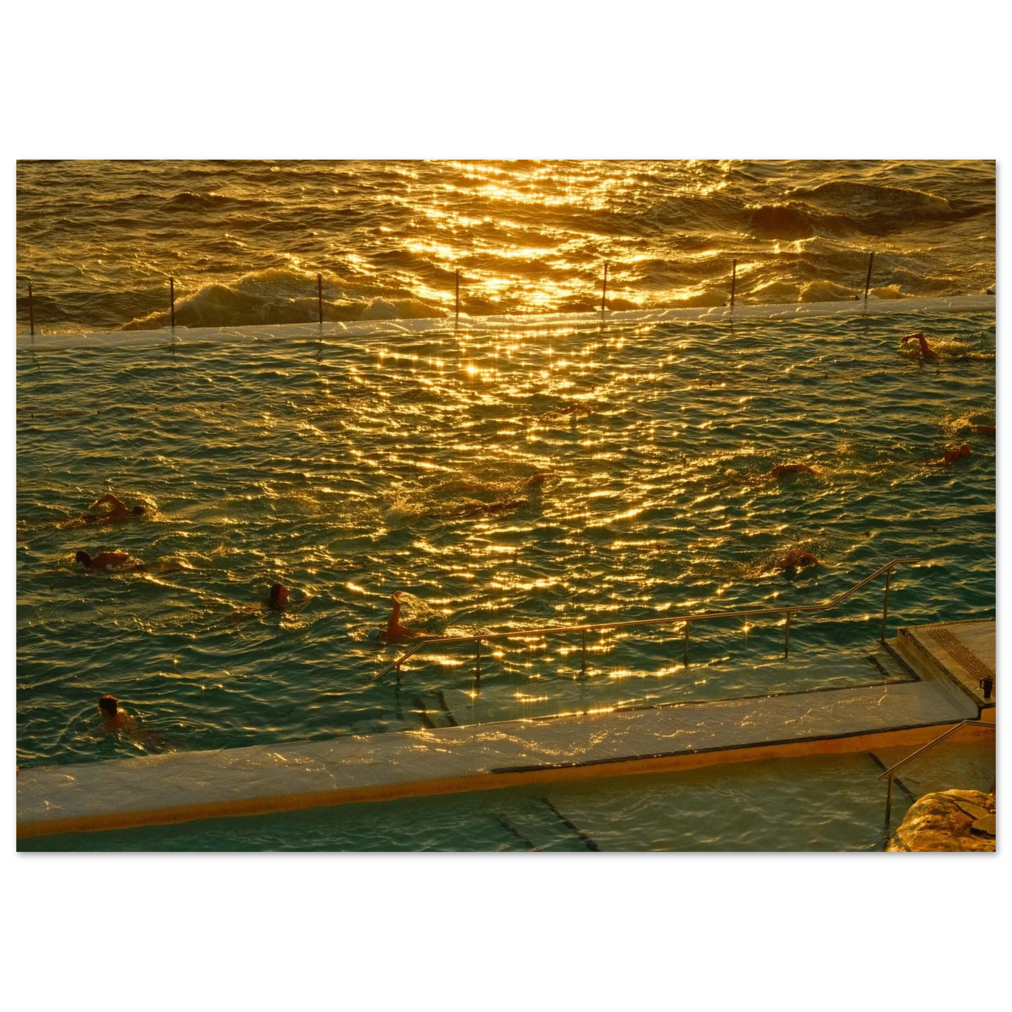 8b749ff0-780b-46e5-add6-b3dbdb1d35b8