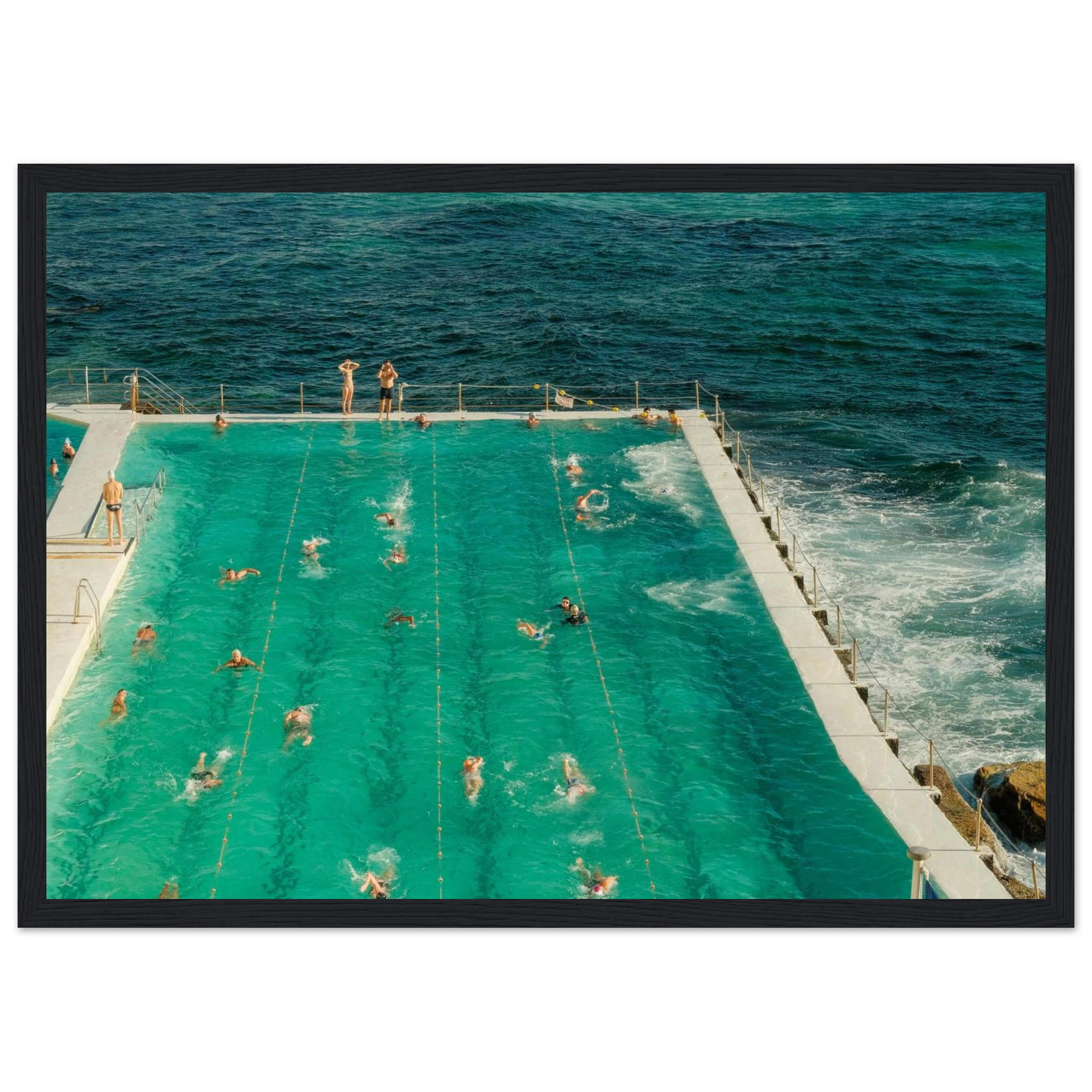 8c46f2bb-19cb-491d-818a-d814d50a247c