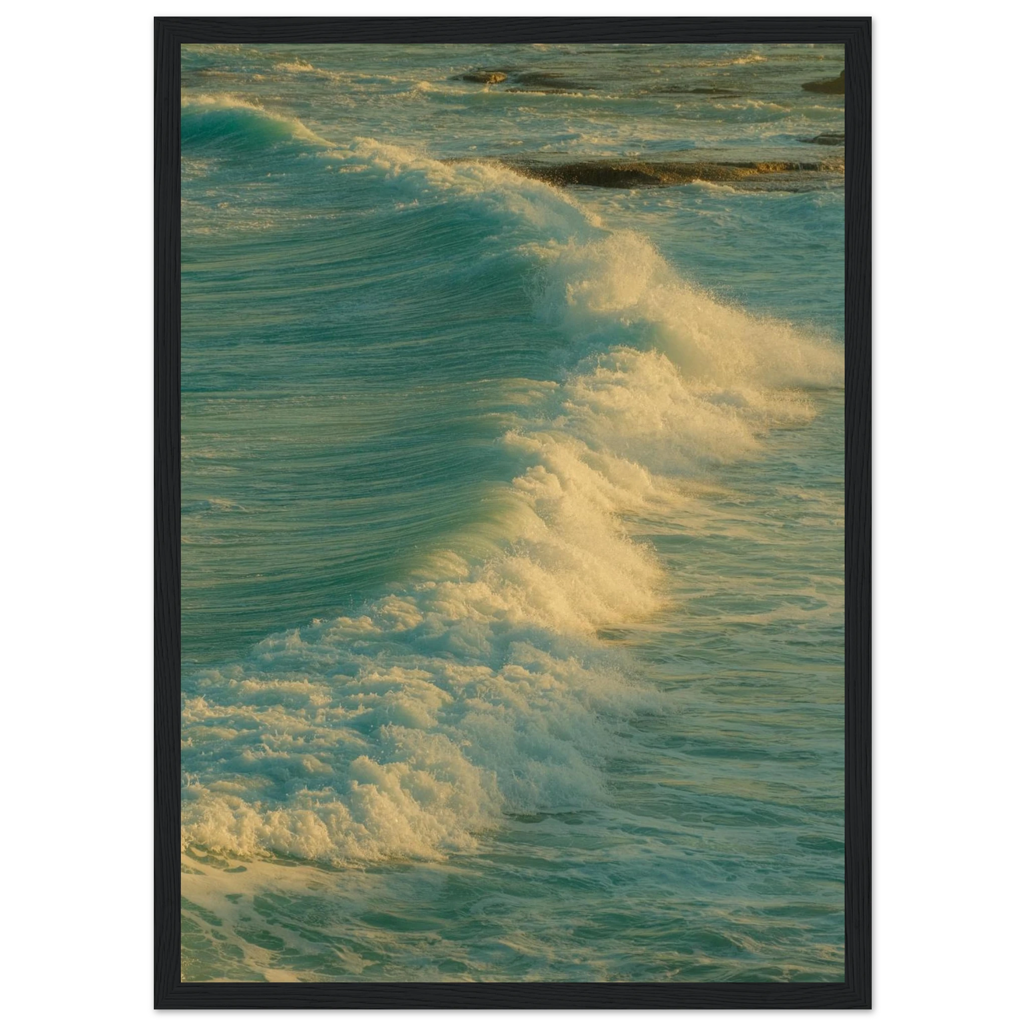 8d5708b1-bc98-4fe6-adf0-21033596fe65