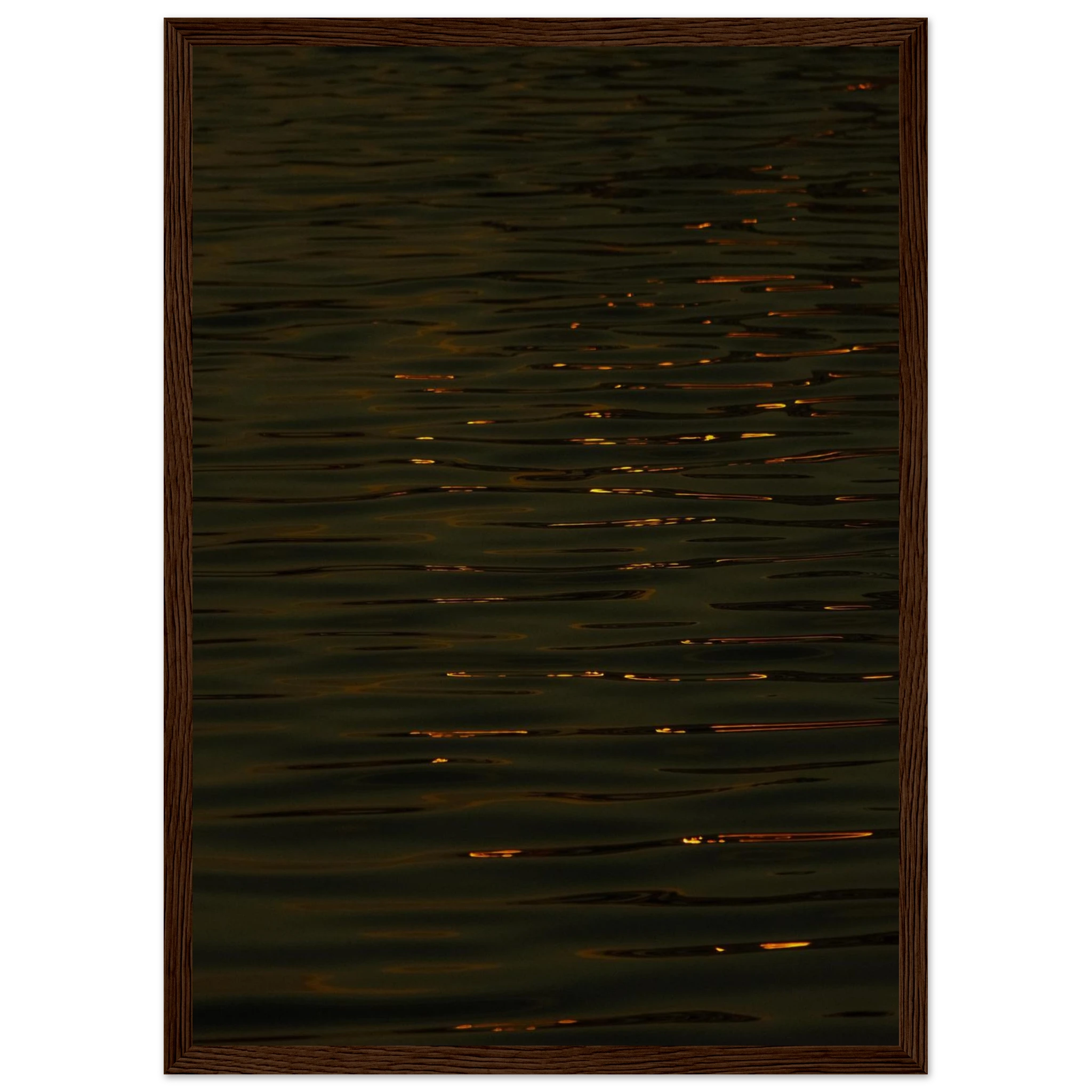 8f6056b9-a855-4d8d-b49b-06ff1a41d7e1