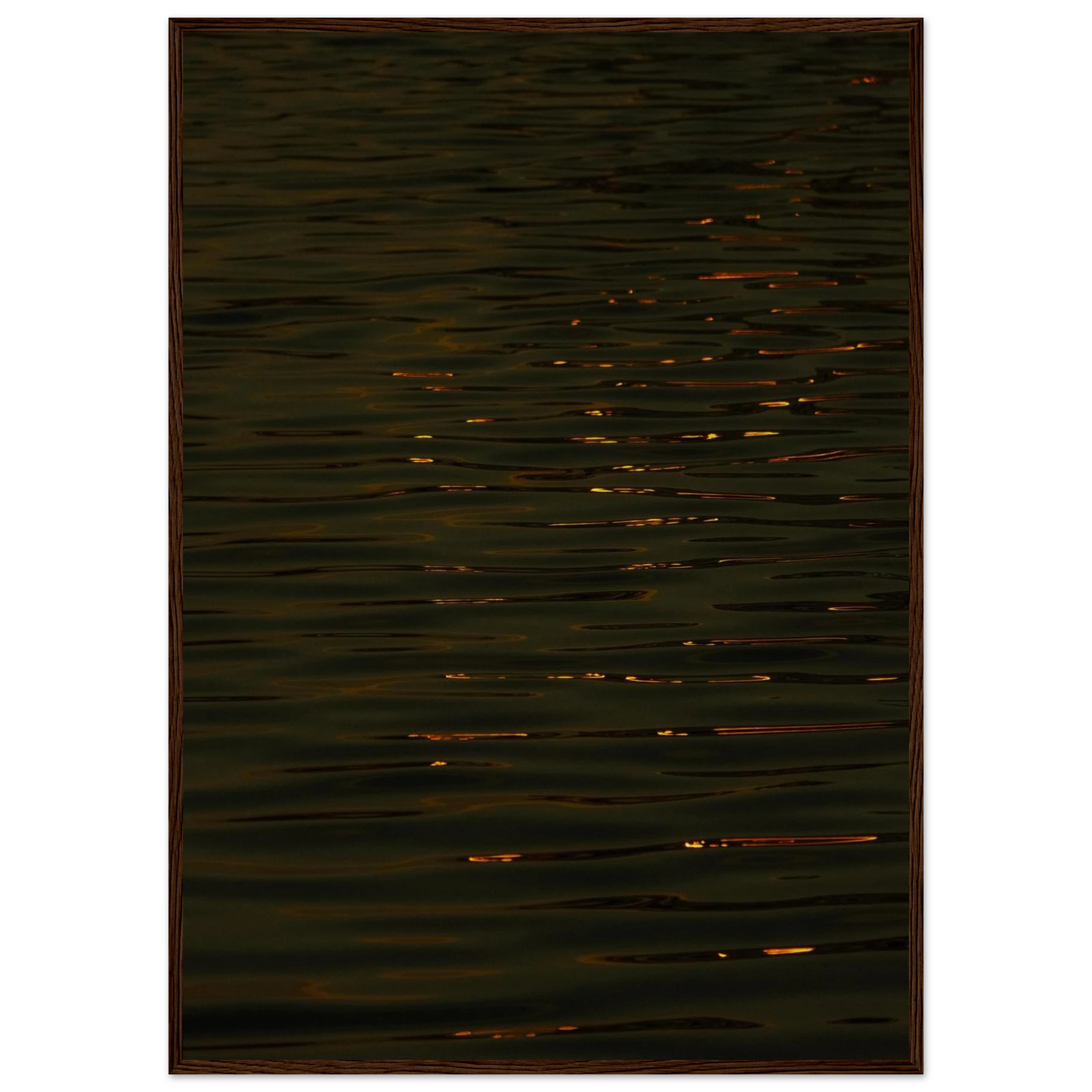 9051fd59-d980-4624-831e-69a971902499