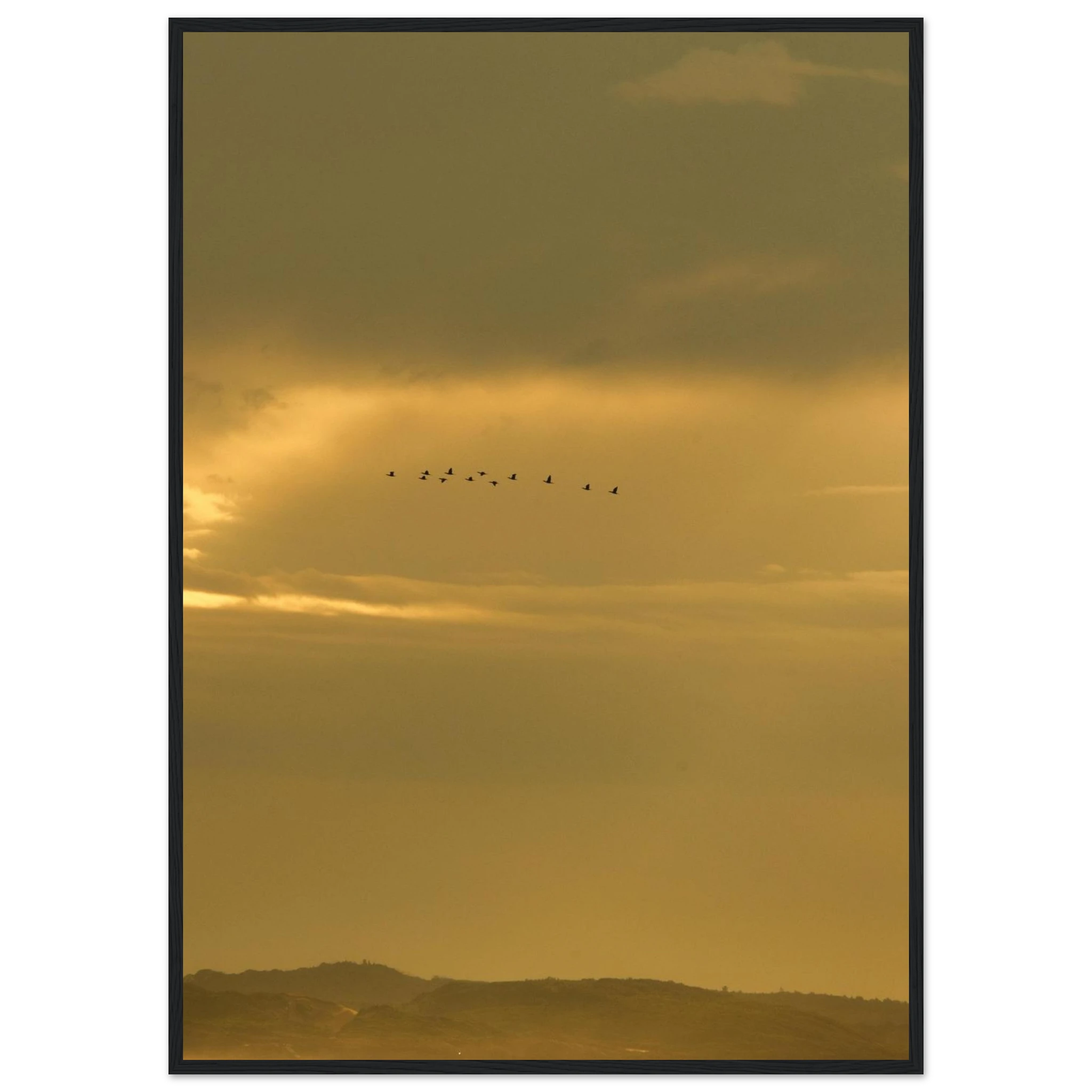 9a28d338-6057-4317-91cc-3594b9821f3c